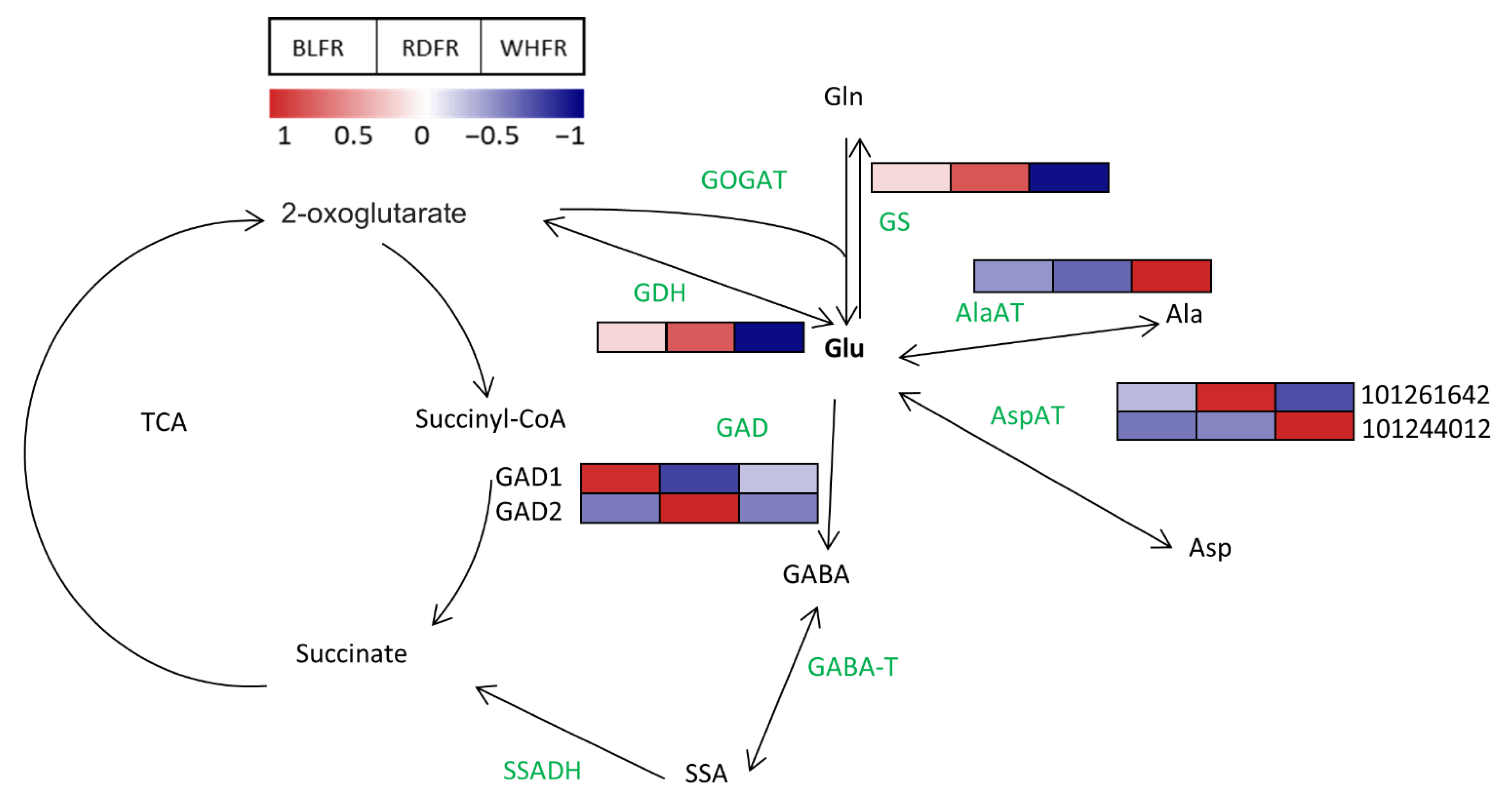Ijms 23 13288 g009 Ijms 23 13288 g009