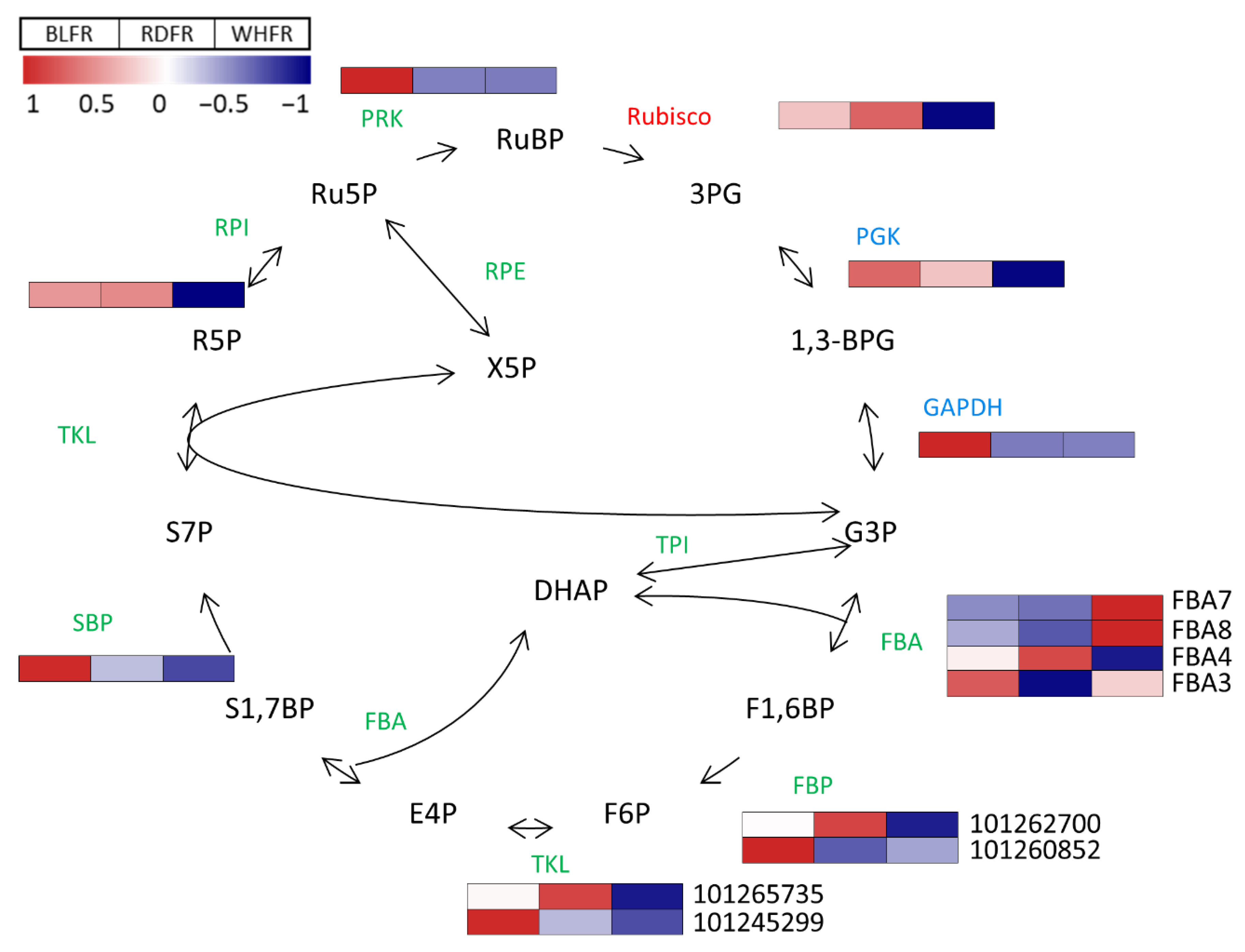 Ijms 23 13288 g010a Ijms 23 13288 g010a