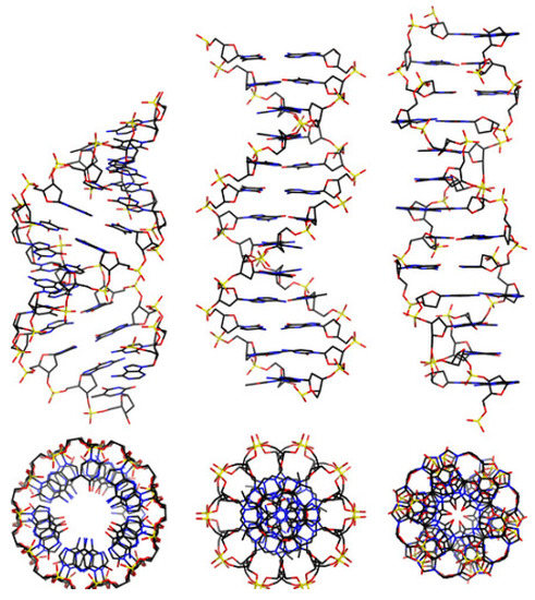 https://www.mdpi.com/ijms/ijms-23-13290/article_deploy/html/images/ijms-23-13290-g001-550.jpg