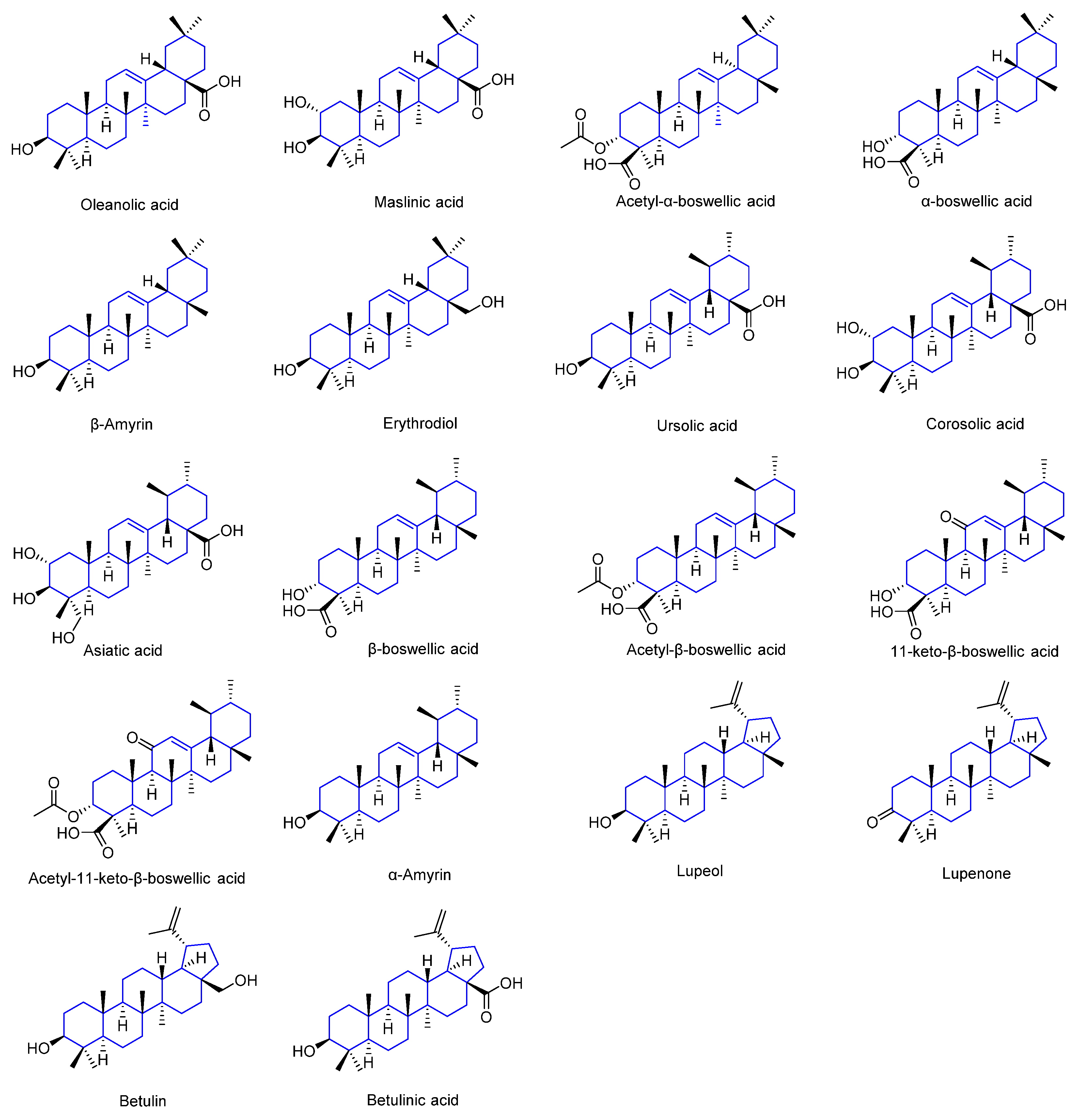 Ijms 23 13291 g001 Ijms 23 13291 g001