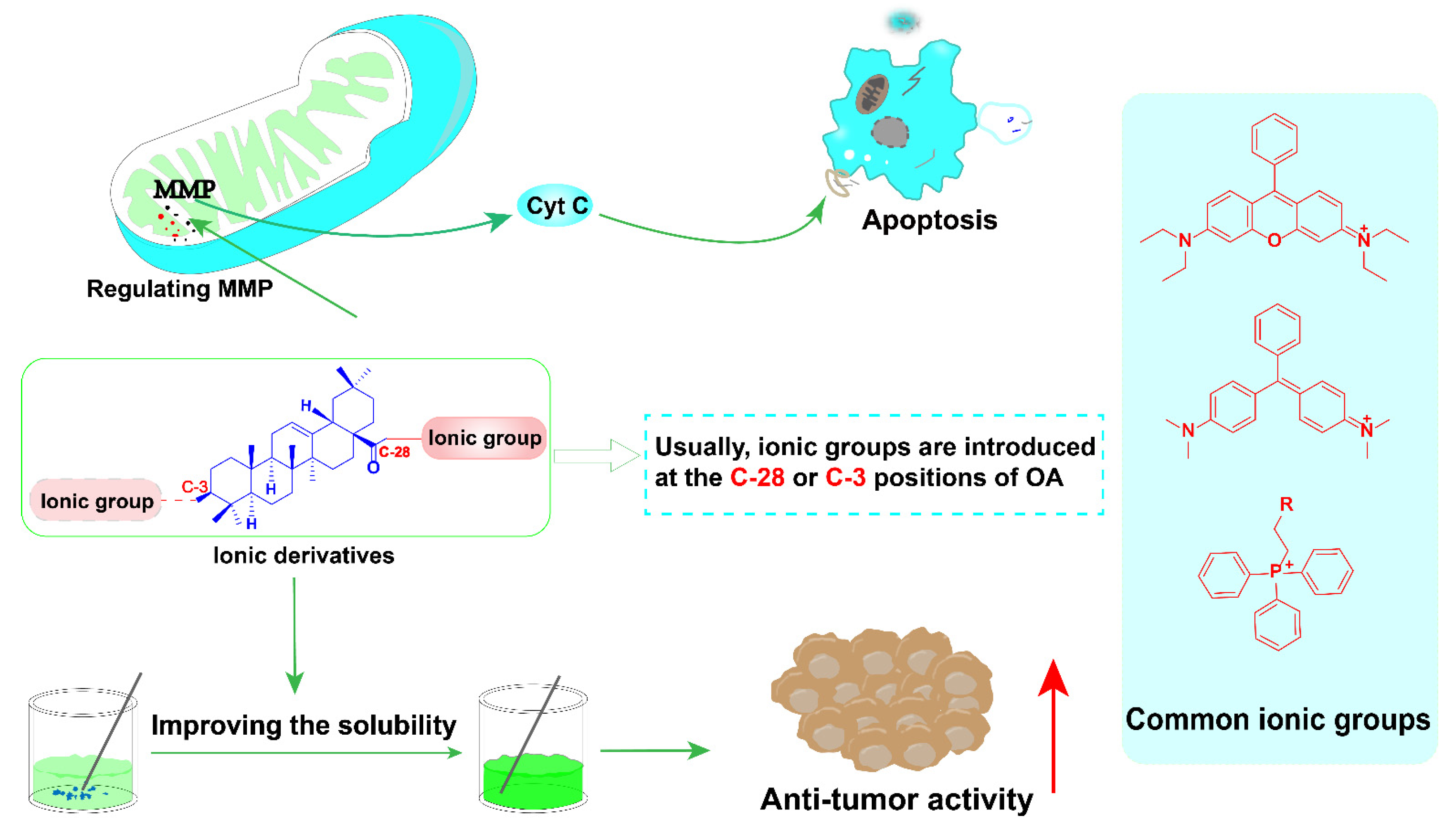 Ijms 23 13291 g012 Ijms 23 13291 g012