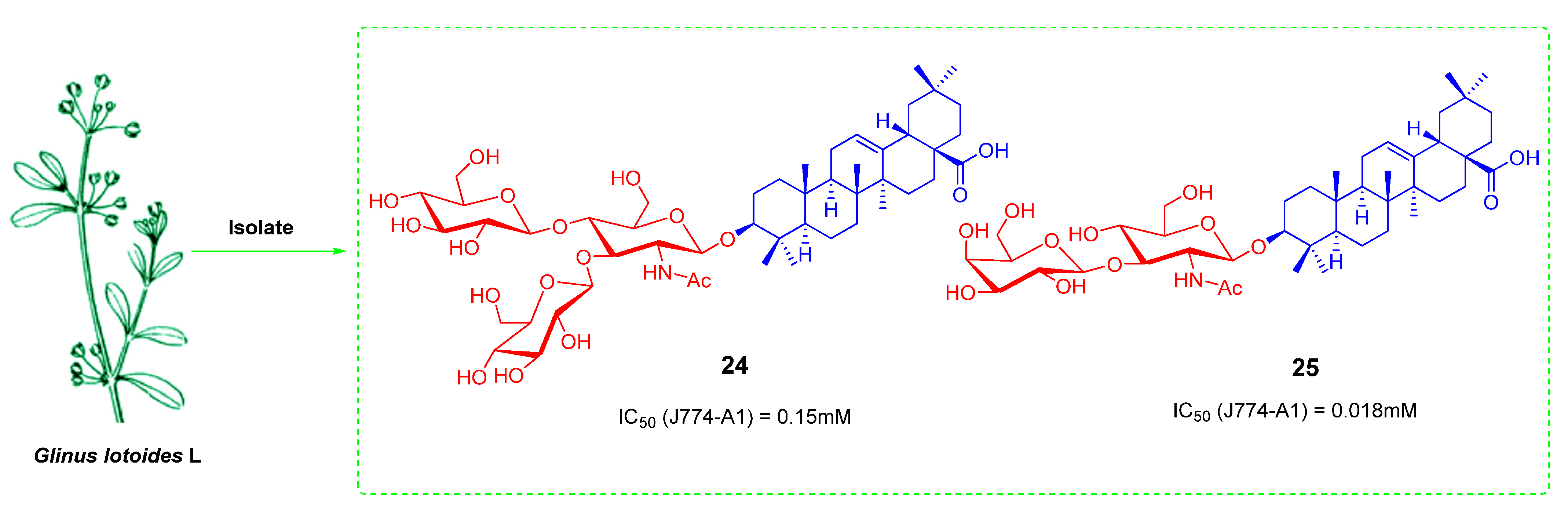 Ijms 23 13291 g016 Ijms 23 13291 g016