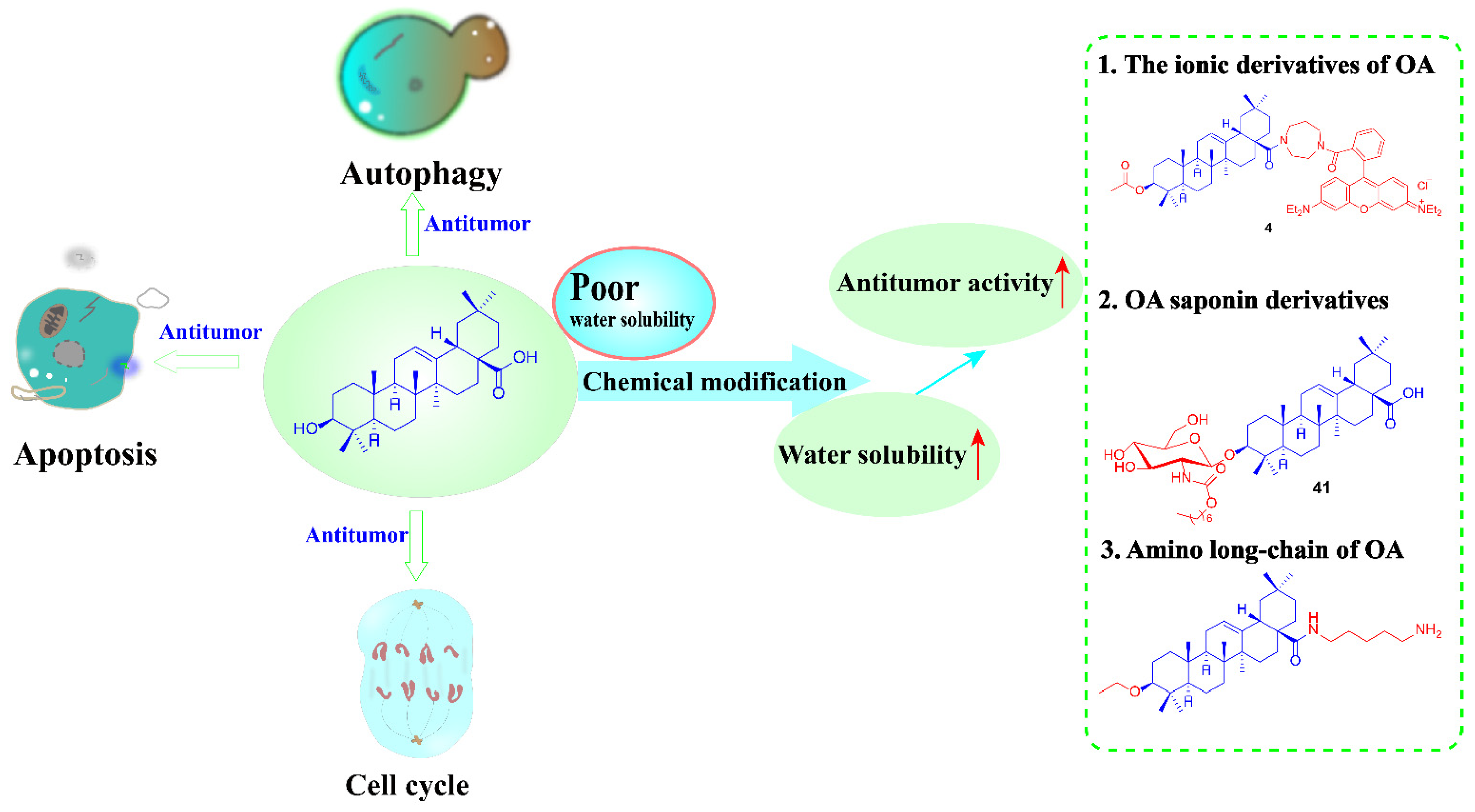 Ijms 23 13291 g027 Ijms 23 13291 g027