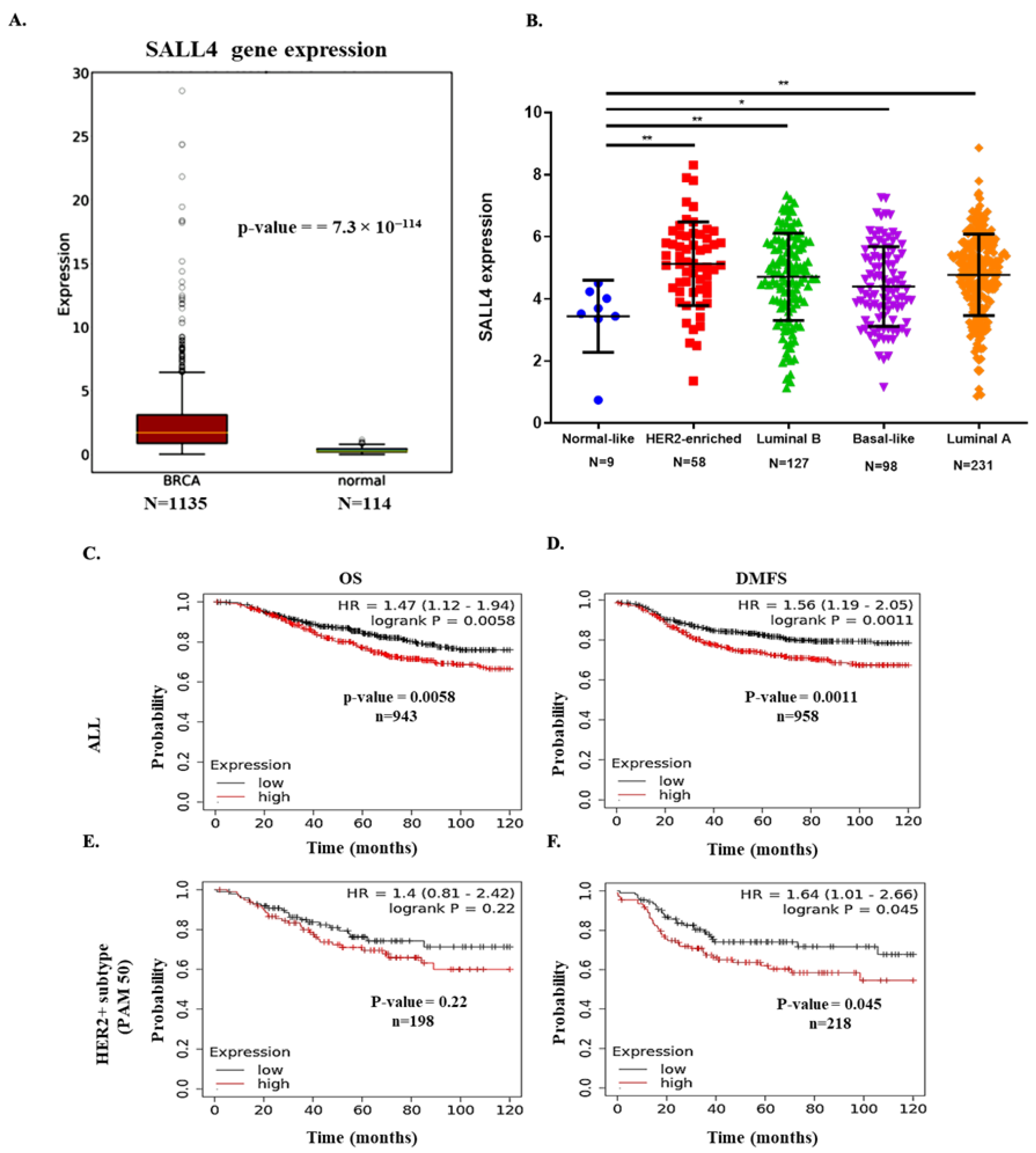 Ijms 23 13292 g001 Ijms 23 13292 g001
