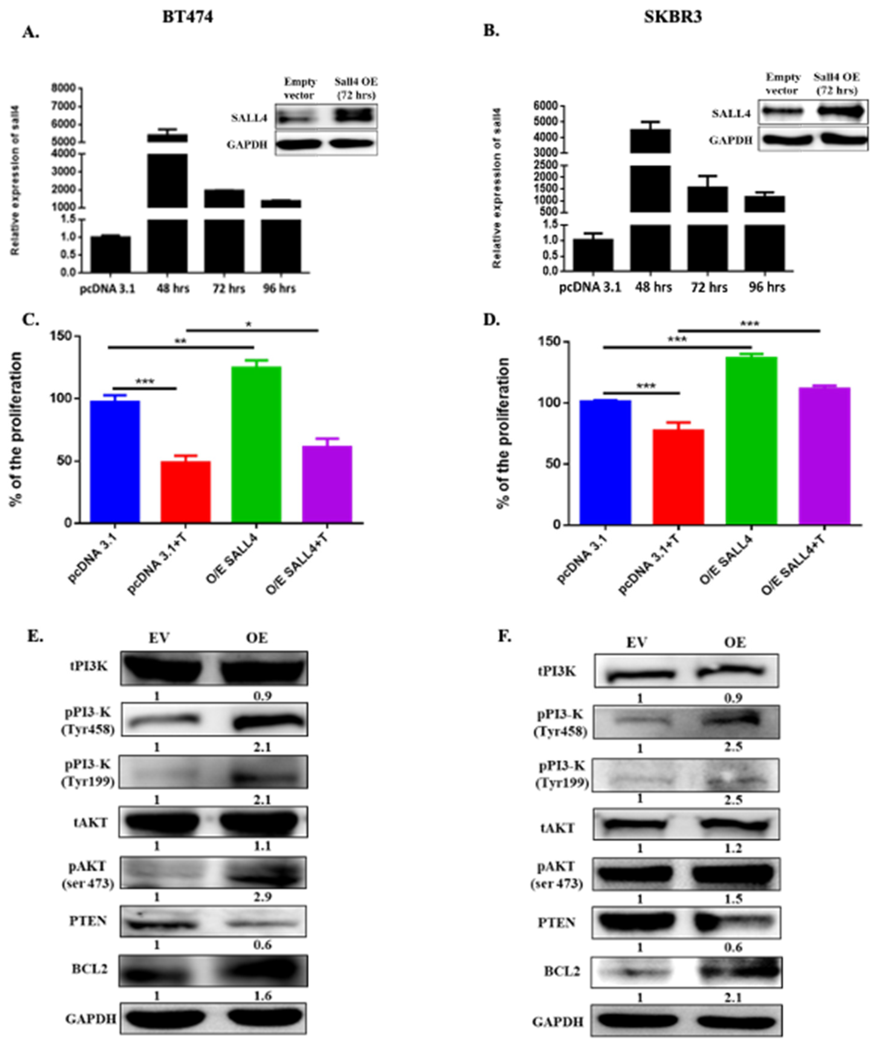 Ijms 23 13292 g002 Ijms 23 13292 g002