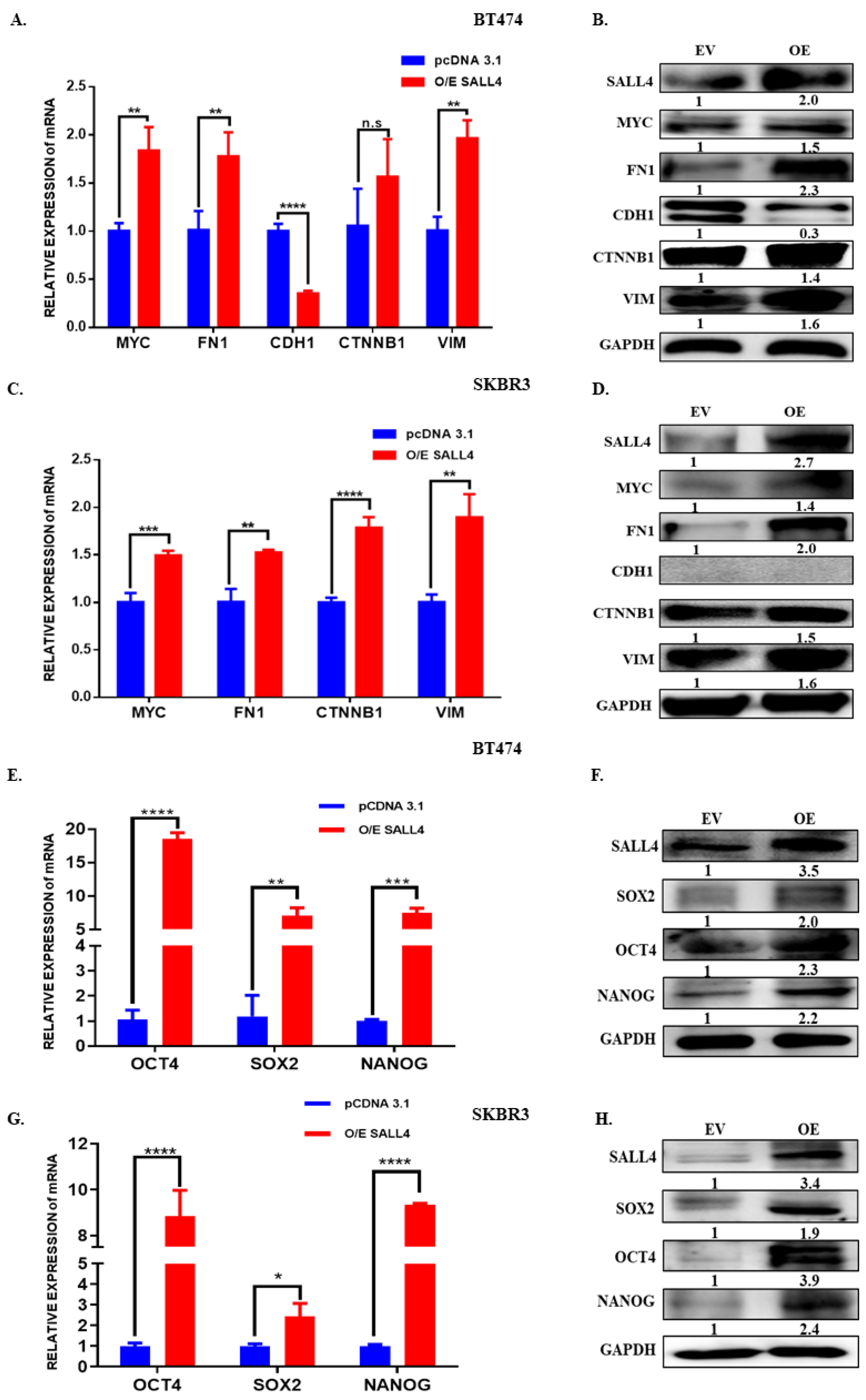 Ijms 23 13292 g004 Ijms 23 13292 g004