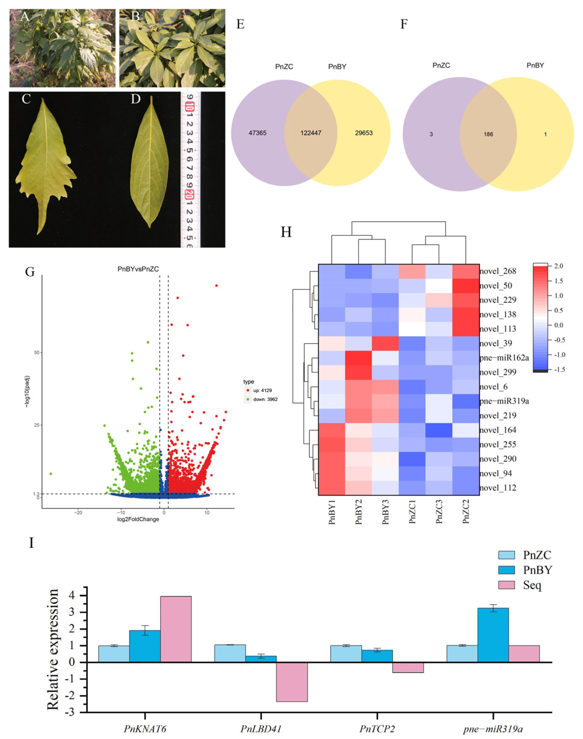 Ijms 23 13296 g001 Ijms 23 13296 g001