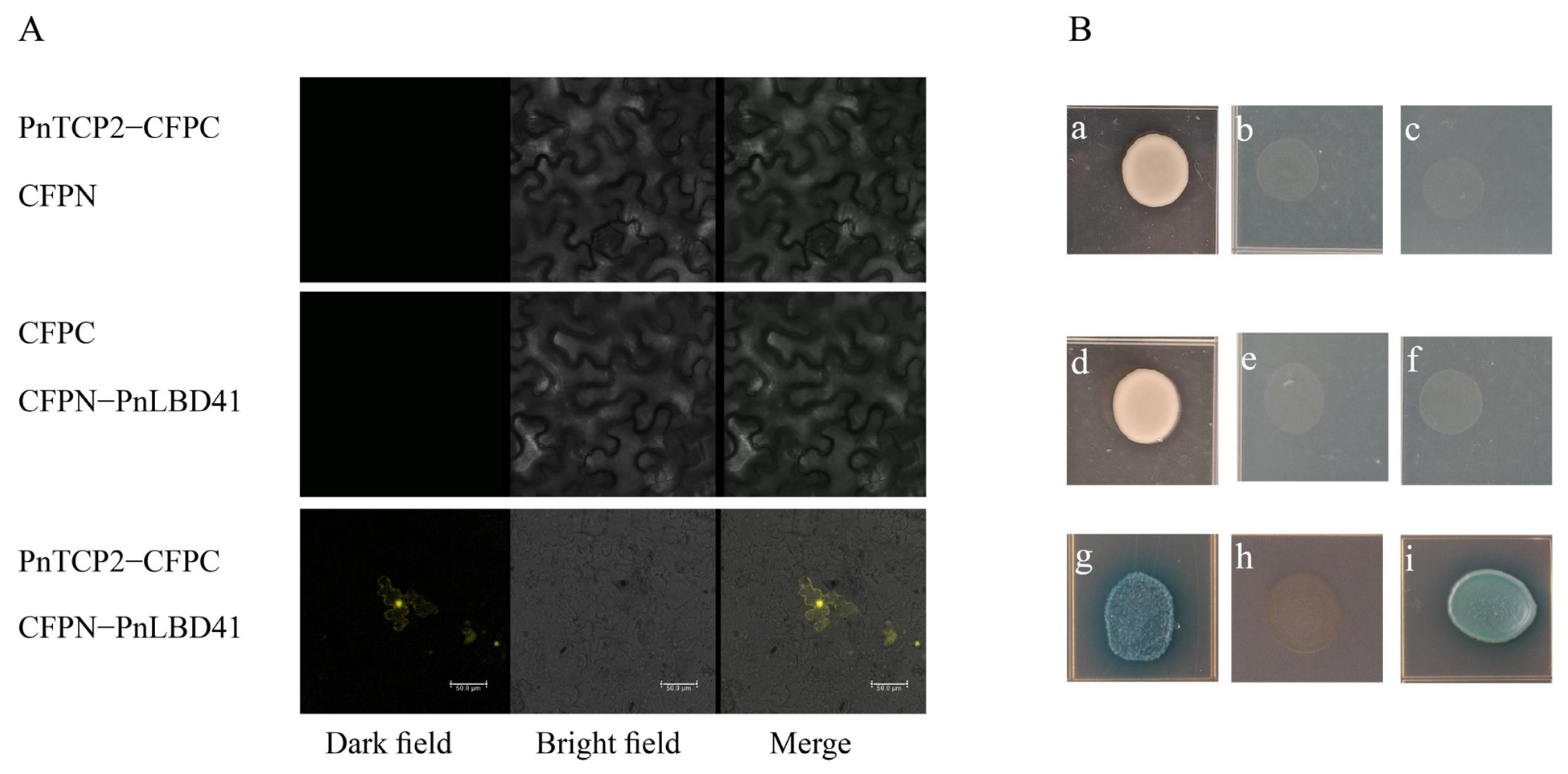 Ijms 23 13296 g005 Ijms 23 13296 g005
