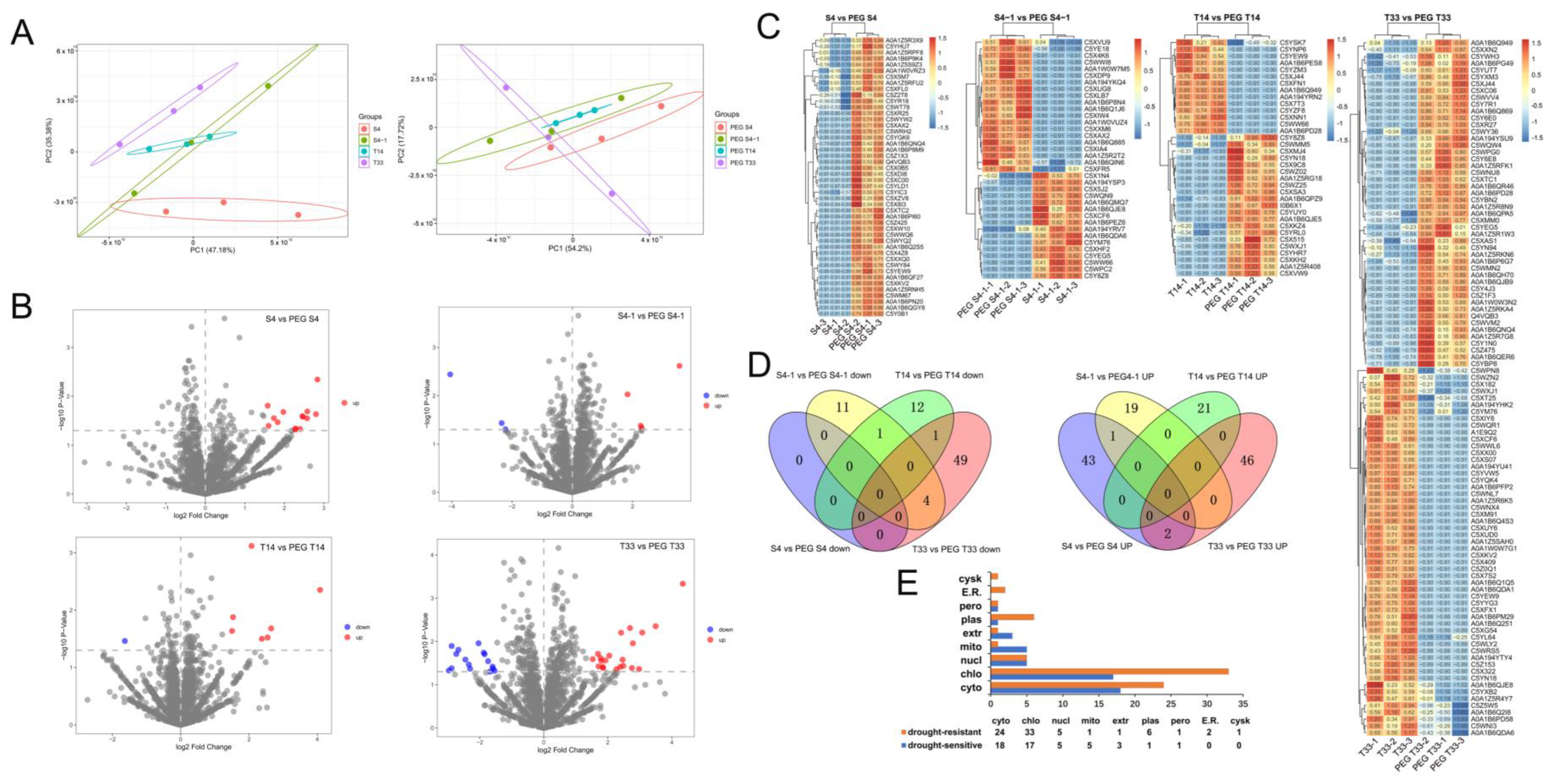 Ijms 23 13297 g003 Ijms 23 13297 g003
