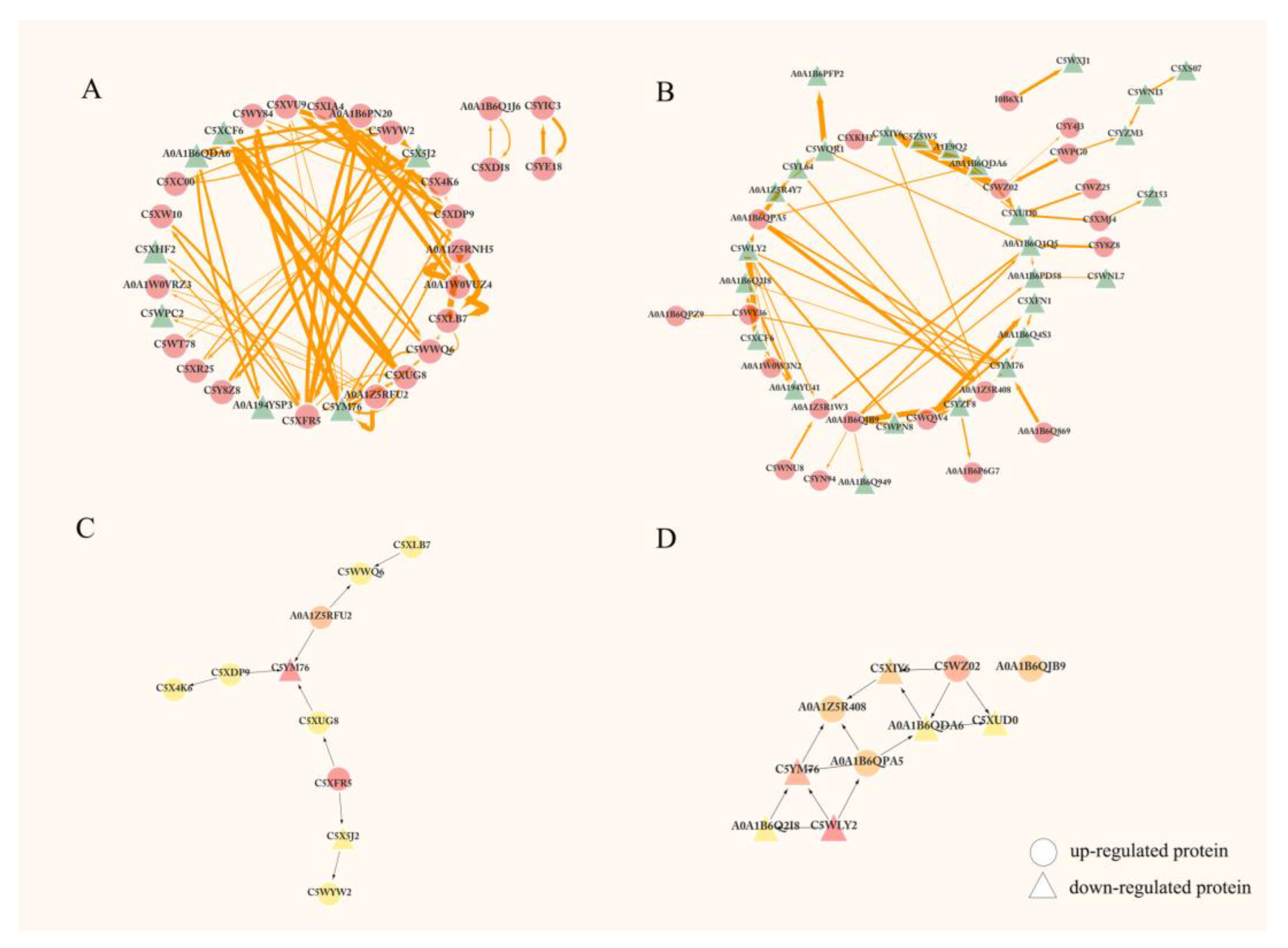 Ijms 23 13297 g004 Ijms 23 13297 g004
