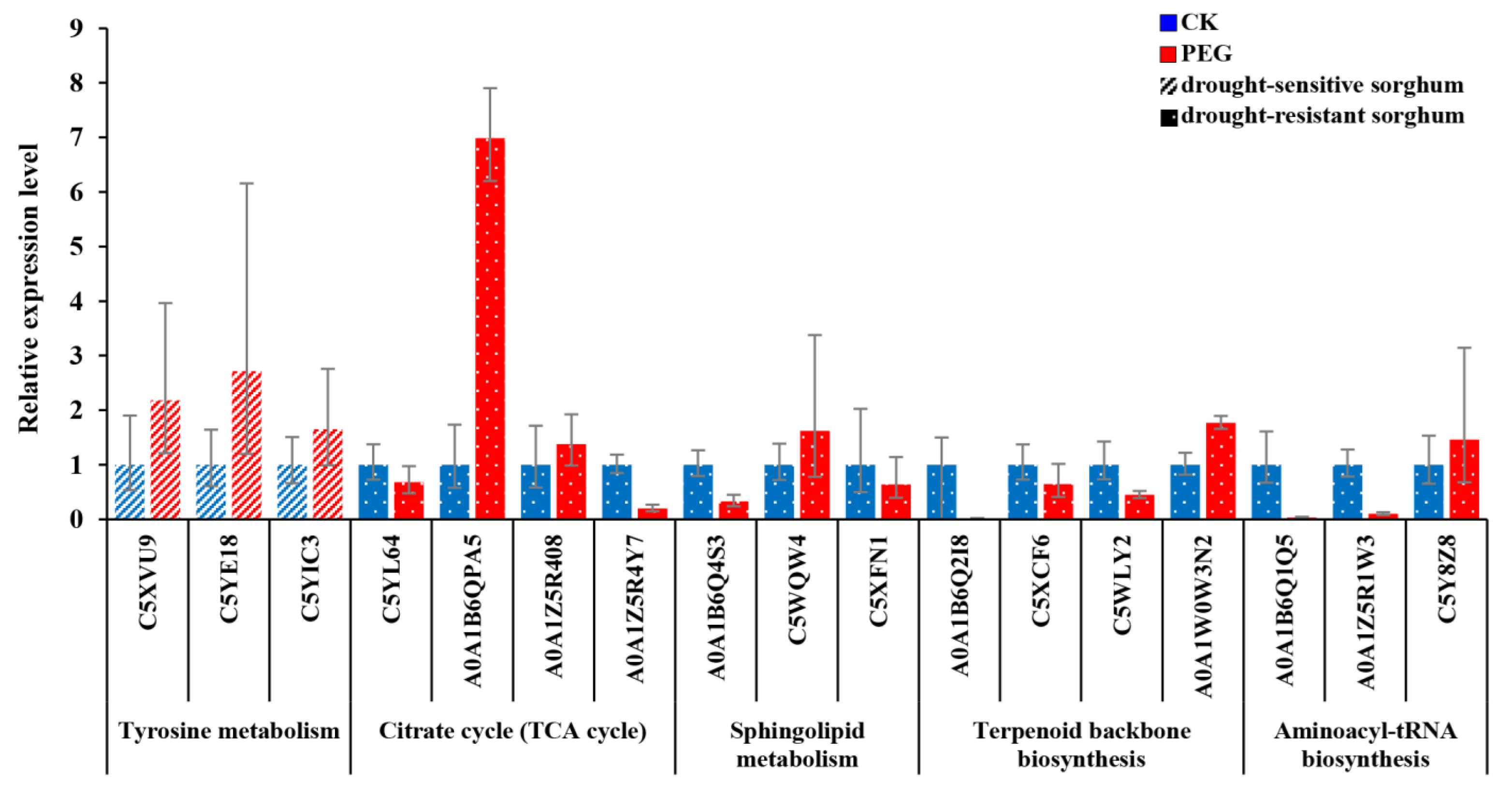Ijms 23 13297 g005 Ijms 23 13297 g005