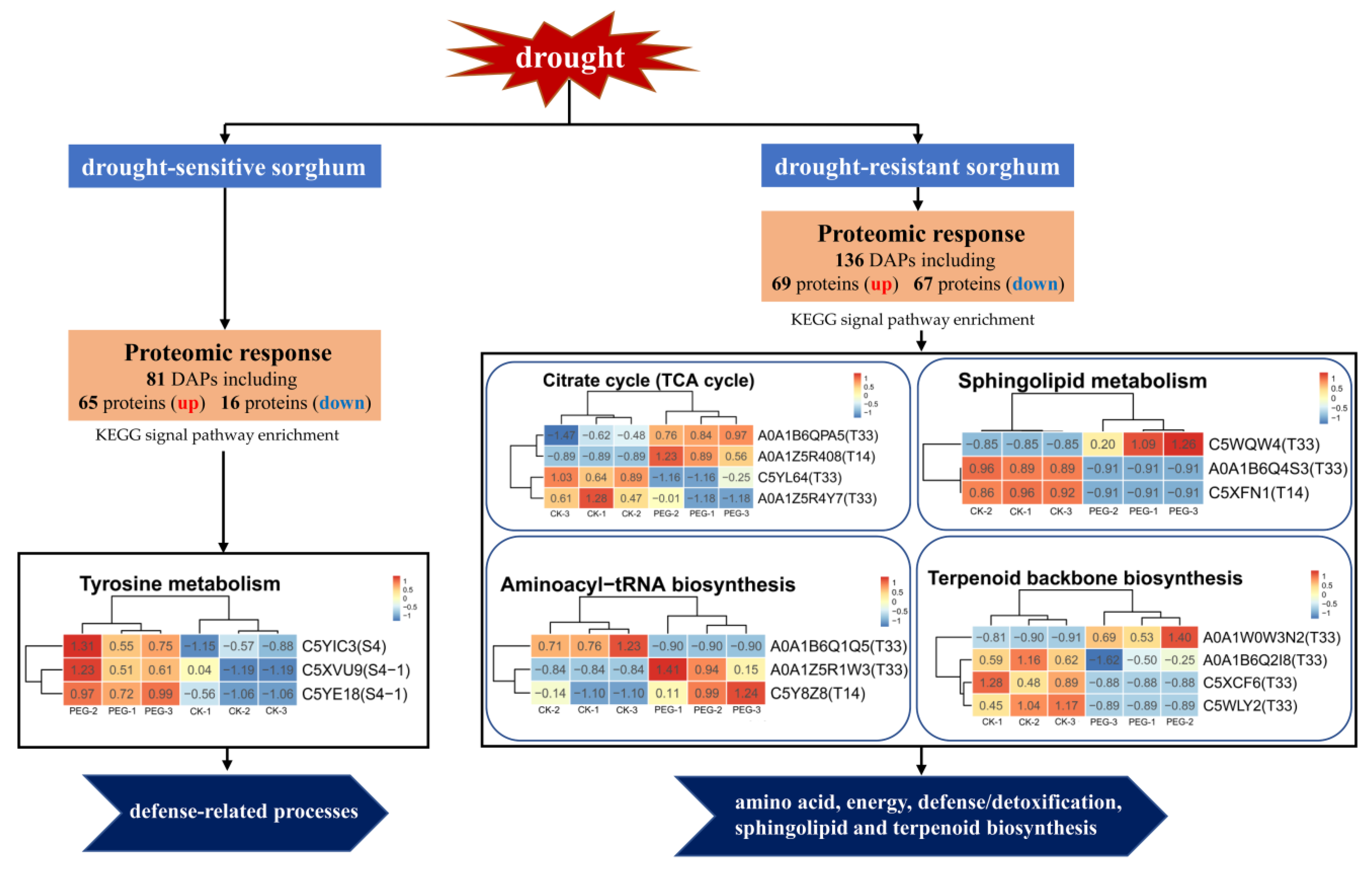 Ijms 23 13297 g006 Ijms 23 13297 g006