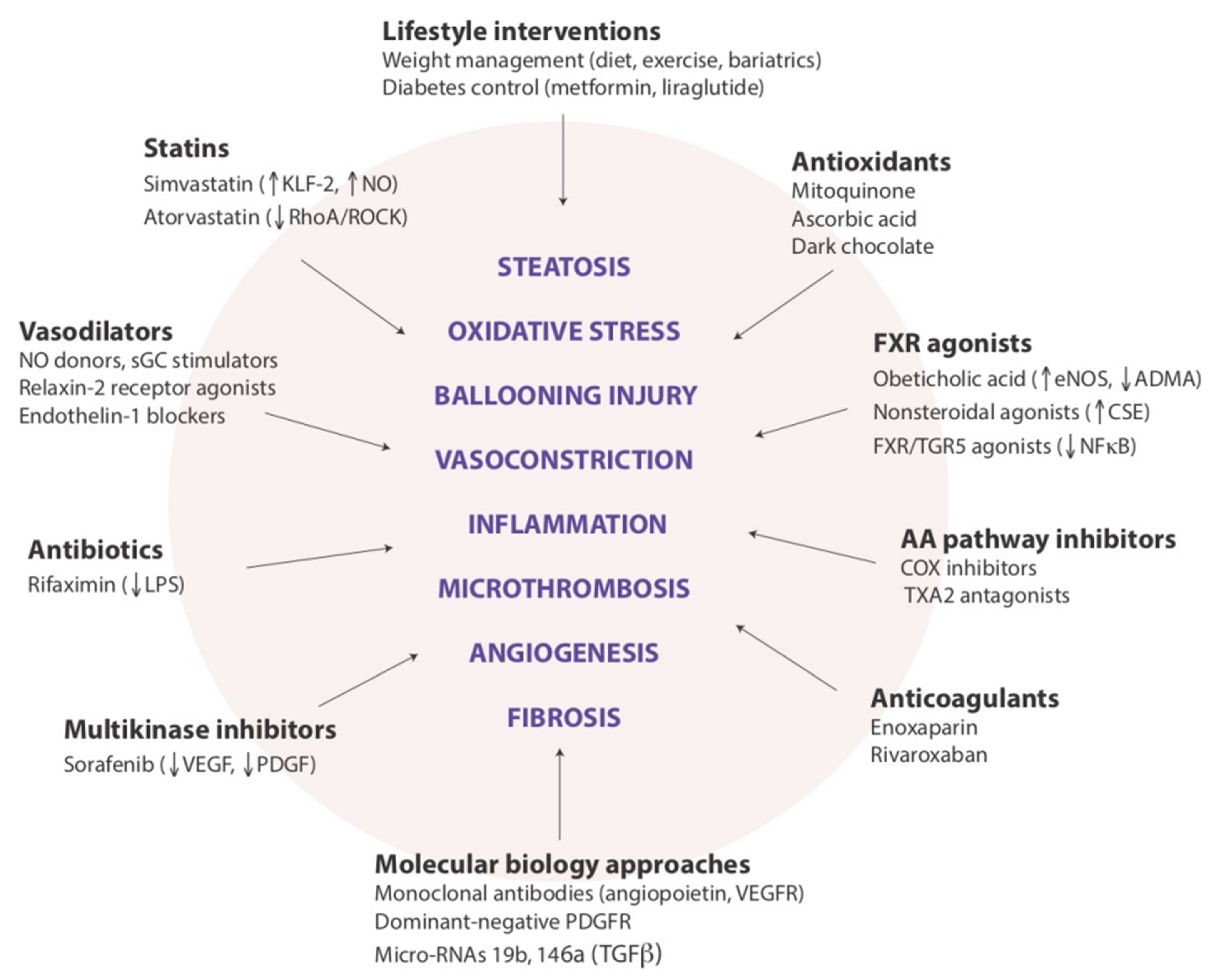 Ijms 23 13320 g002 Ijms 23 13320 g002