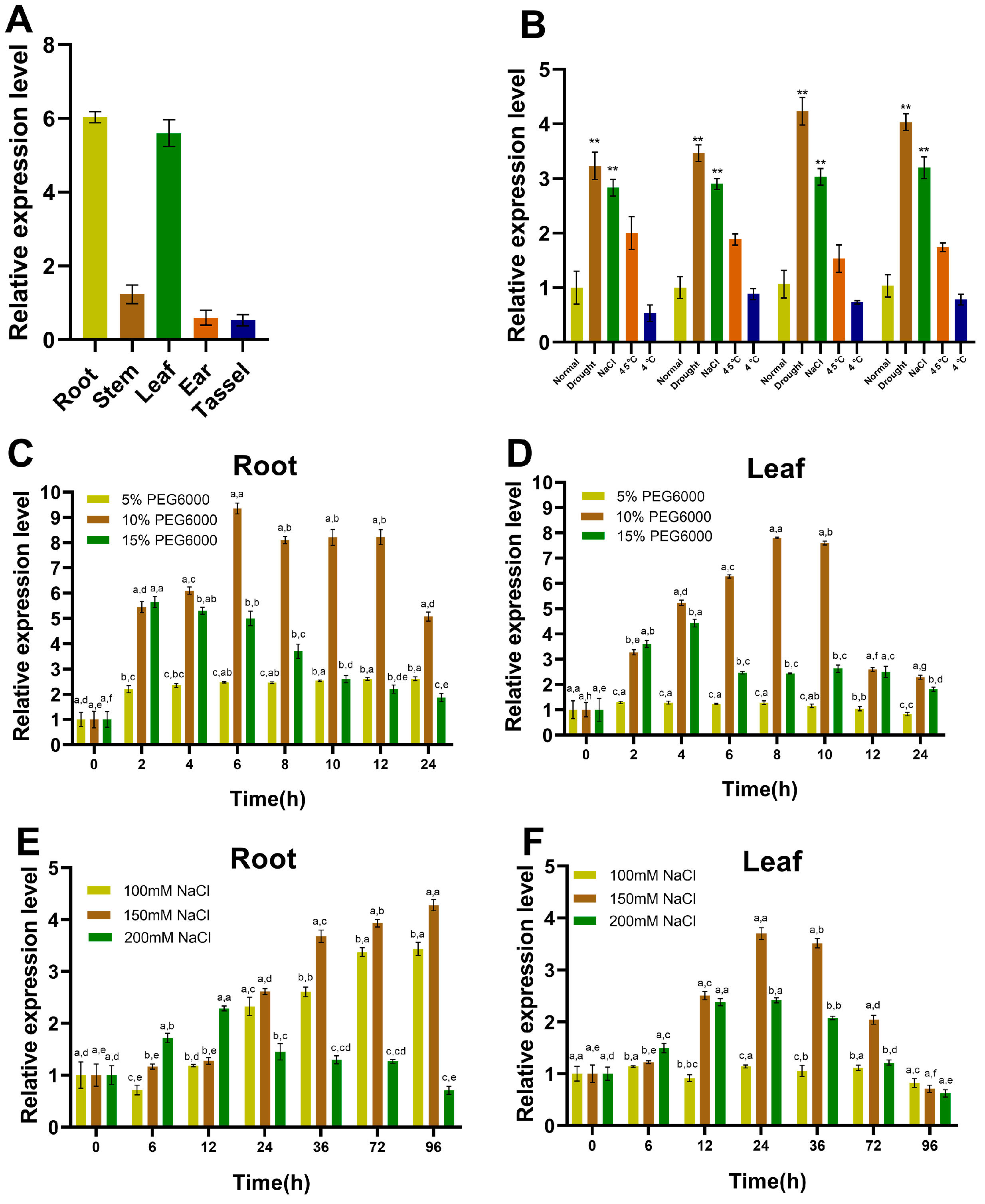 Ijms 23 13349 g001 Ijms 23 13349 g001