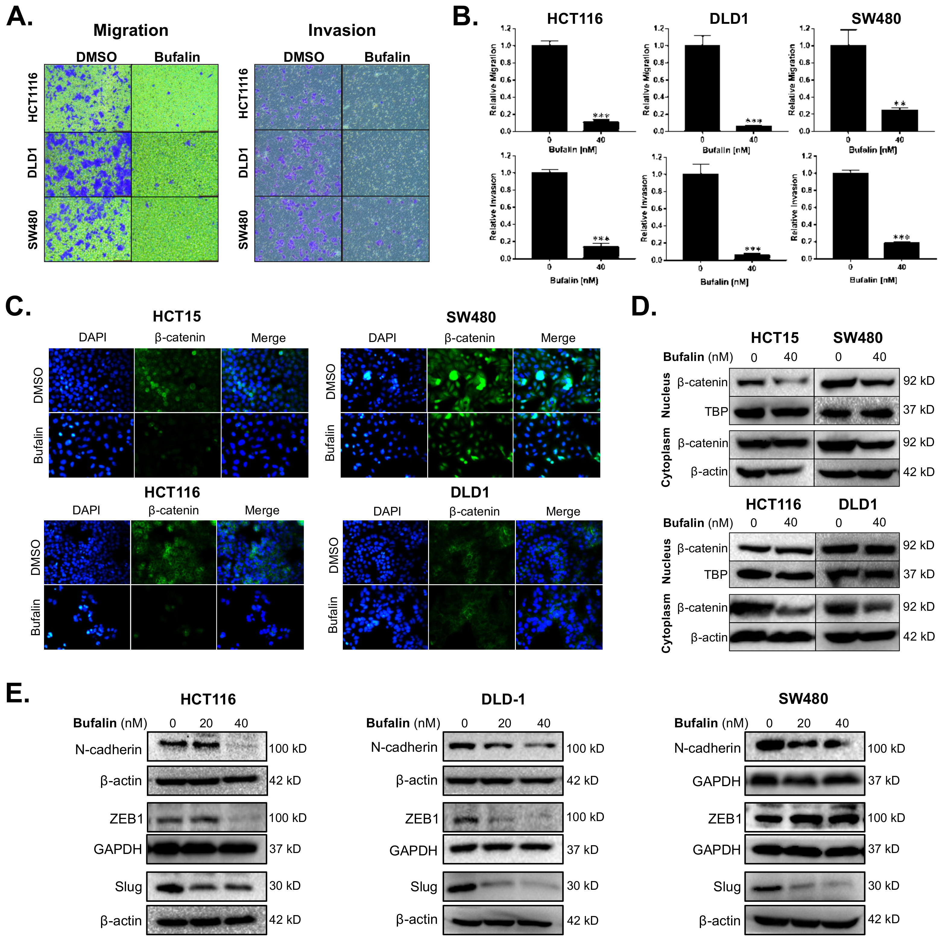 Ijms 23 13354 g001 Ijms 23 13354 g001