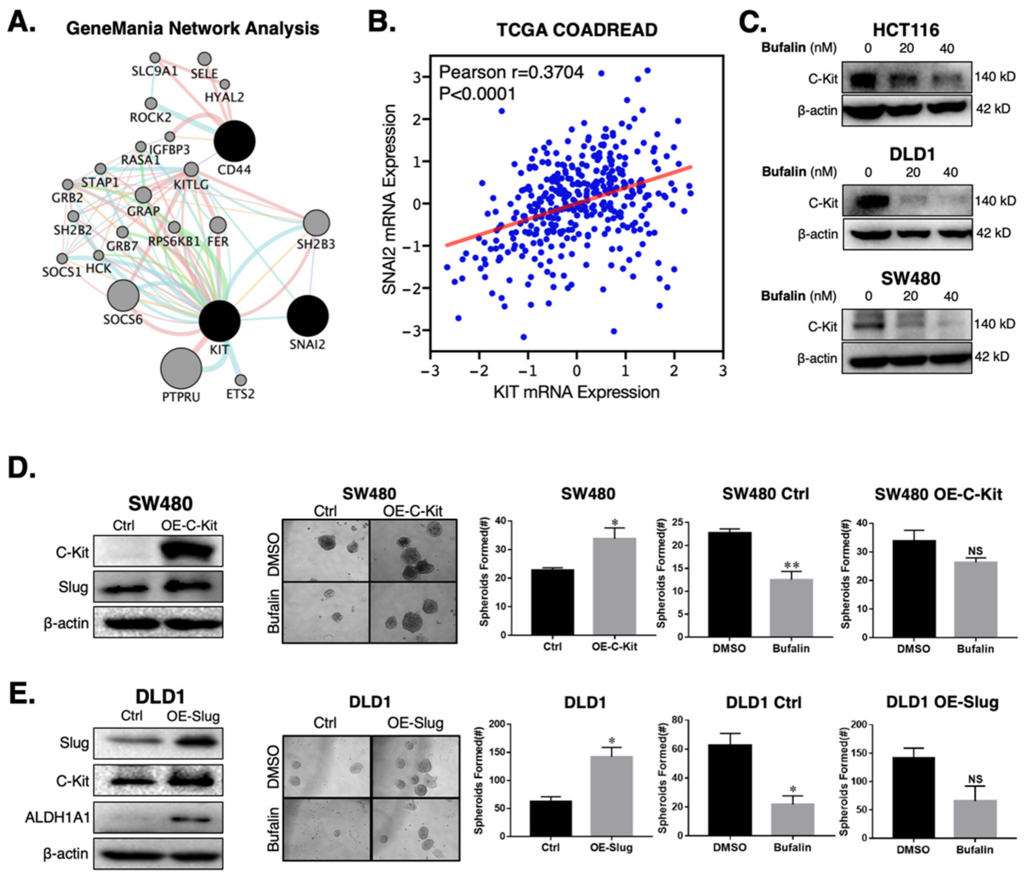 Ijms 23 13354 g003 Ijms 23 13354 g003