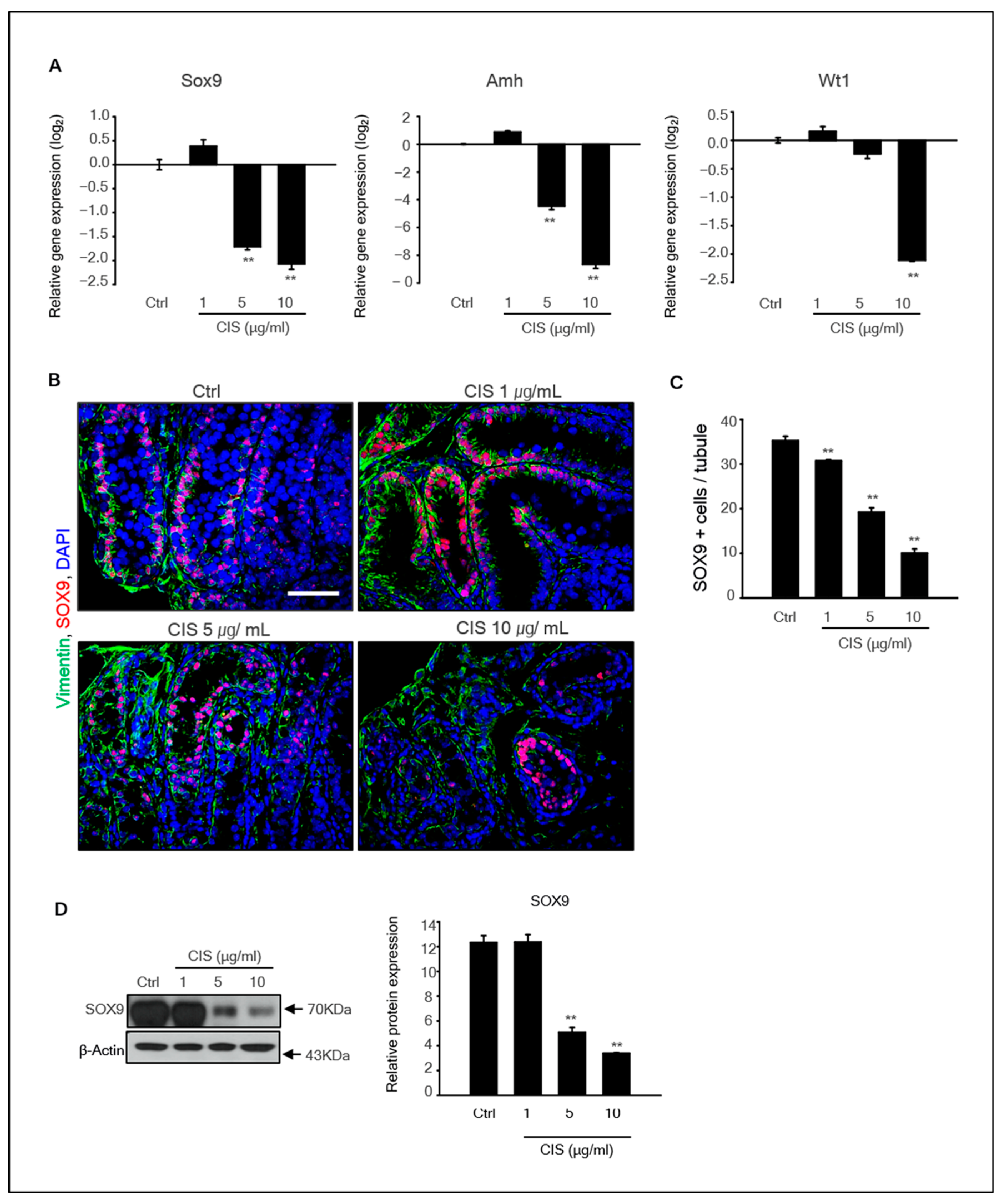 Ijms 23 13360 g003 Ijms 23 13360 g003