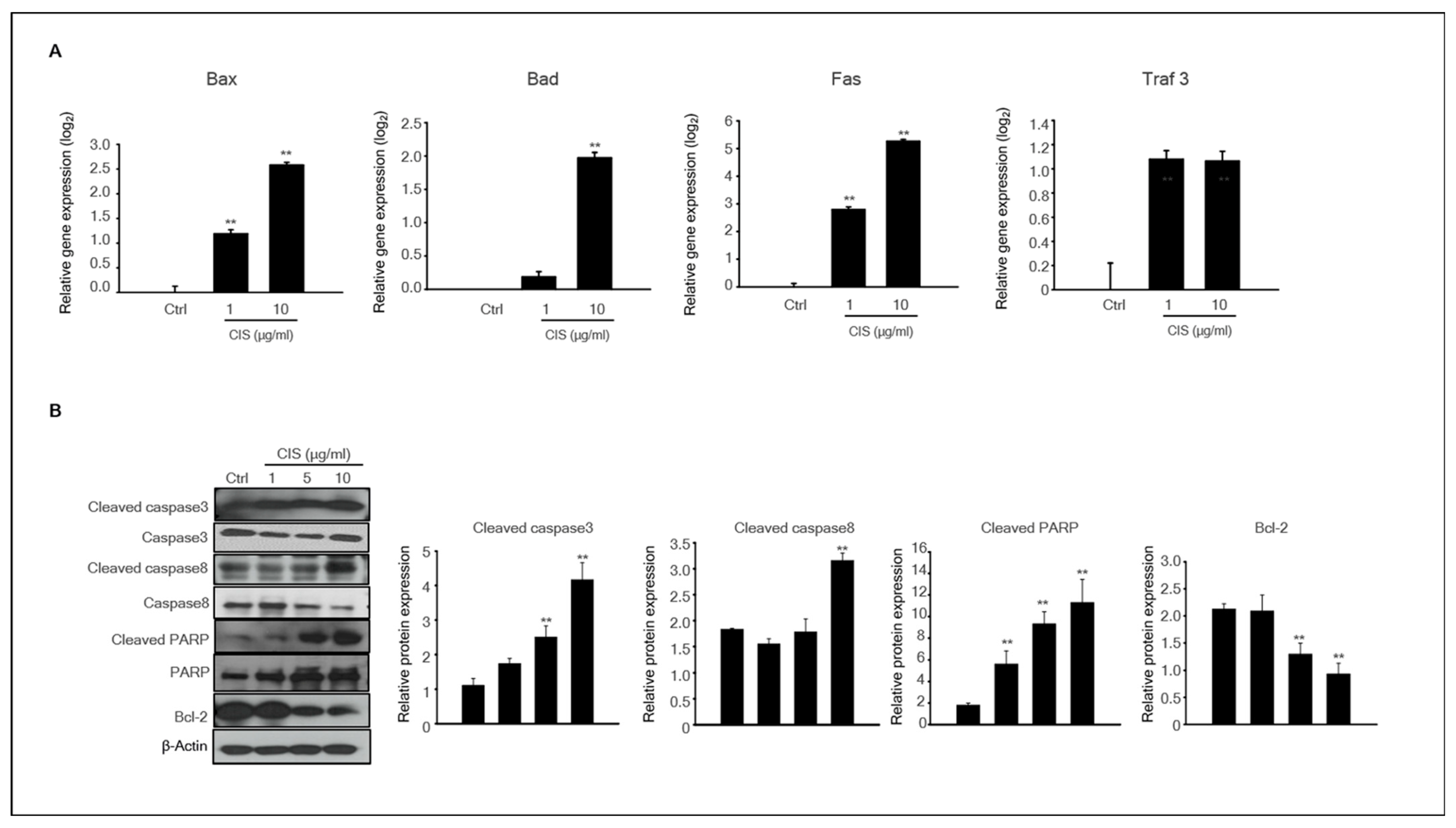 Ijms 23 13360 g005 Ijms 23 13360 g005