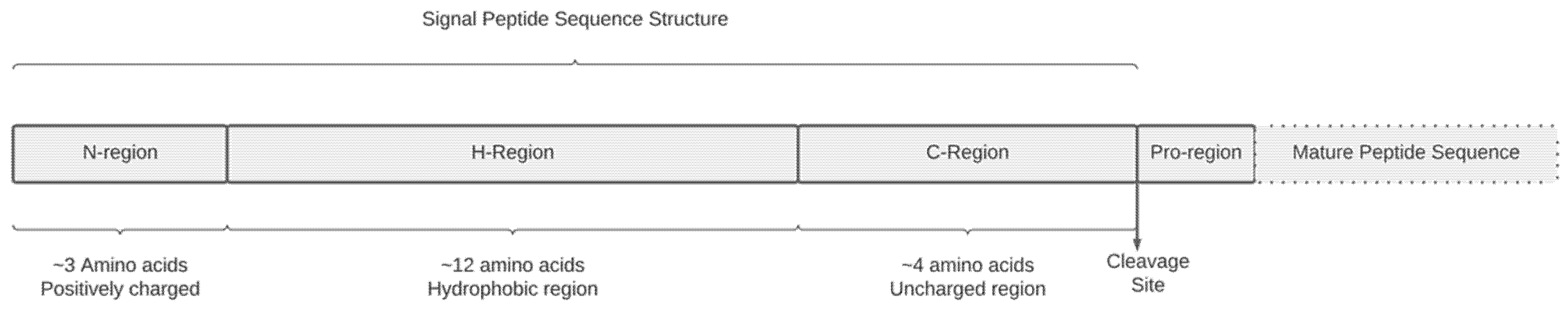 Ijms 23 13361 g001 Ijms 23 13361 g001