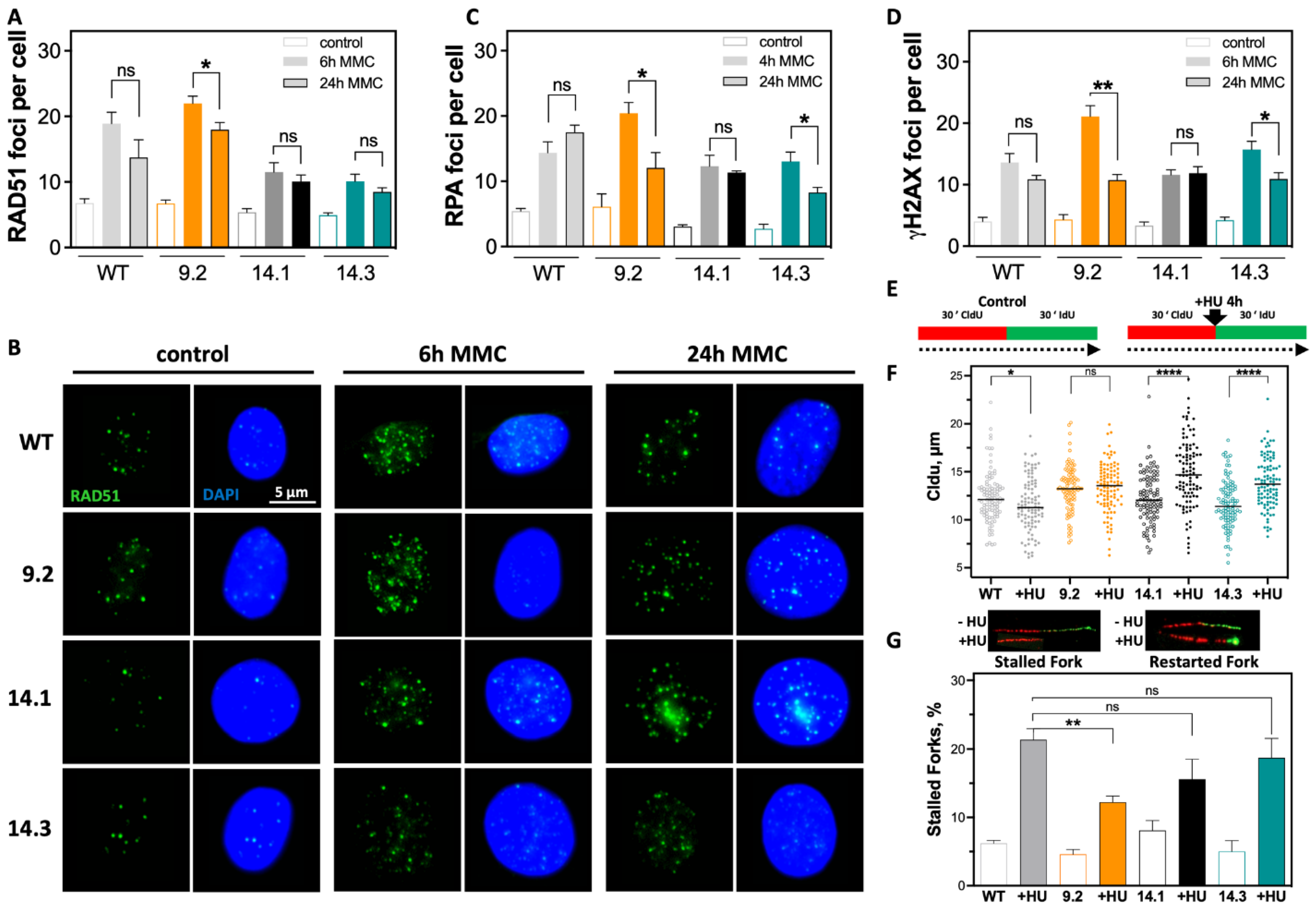 Ijms 23 13363 g003 Ijms 23 13363 g003