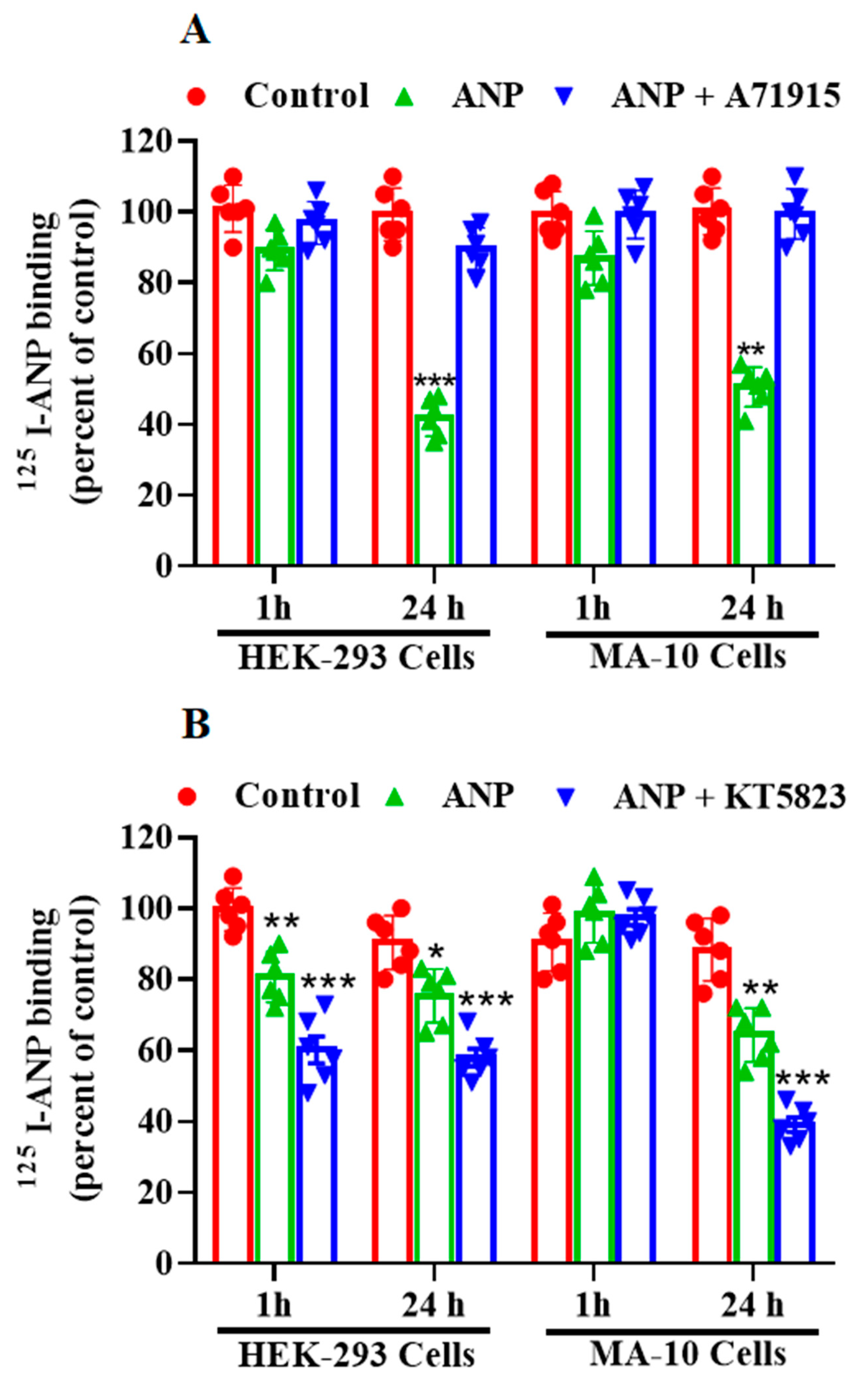 Ijms 23 13381 g004 Ijms 23 13381 g004