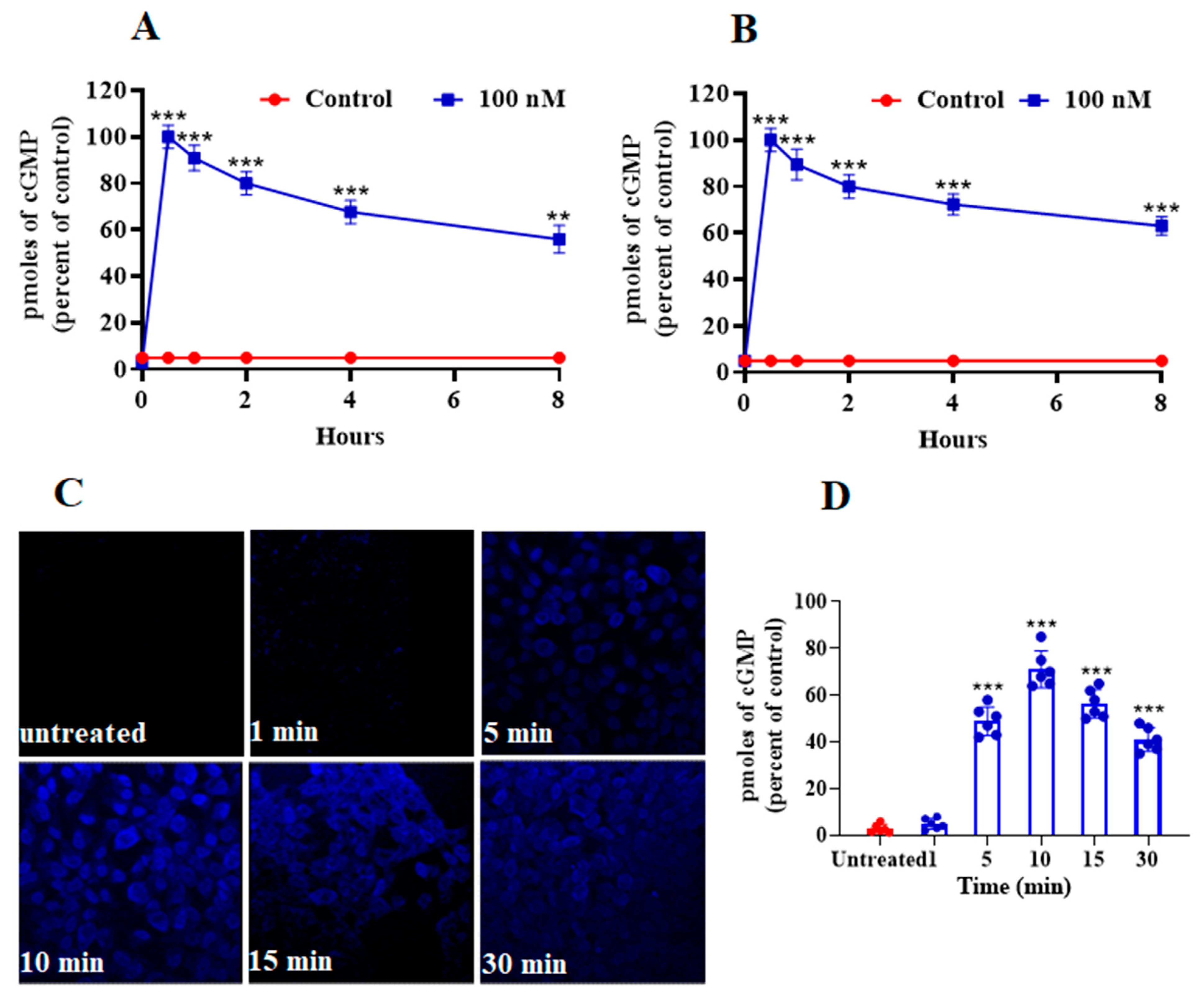 Ijms 23 13381 g005 Ijms 23 13381 g005