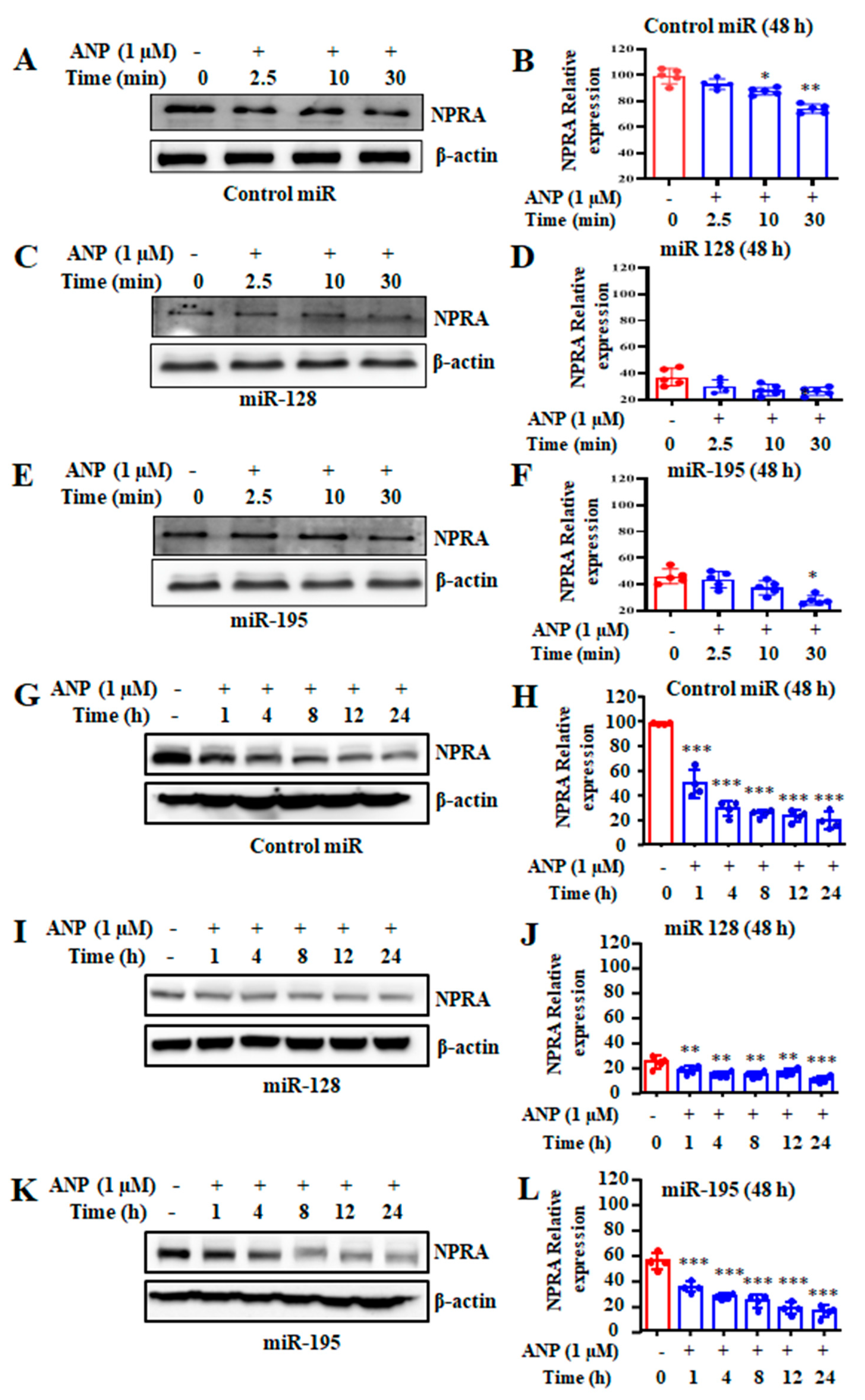 Ijms 23 13381 g007 Ijms 23 13381 g007