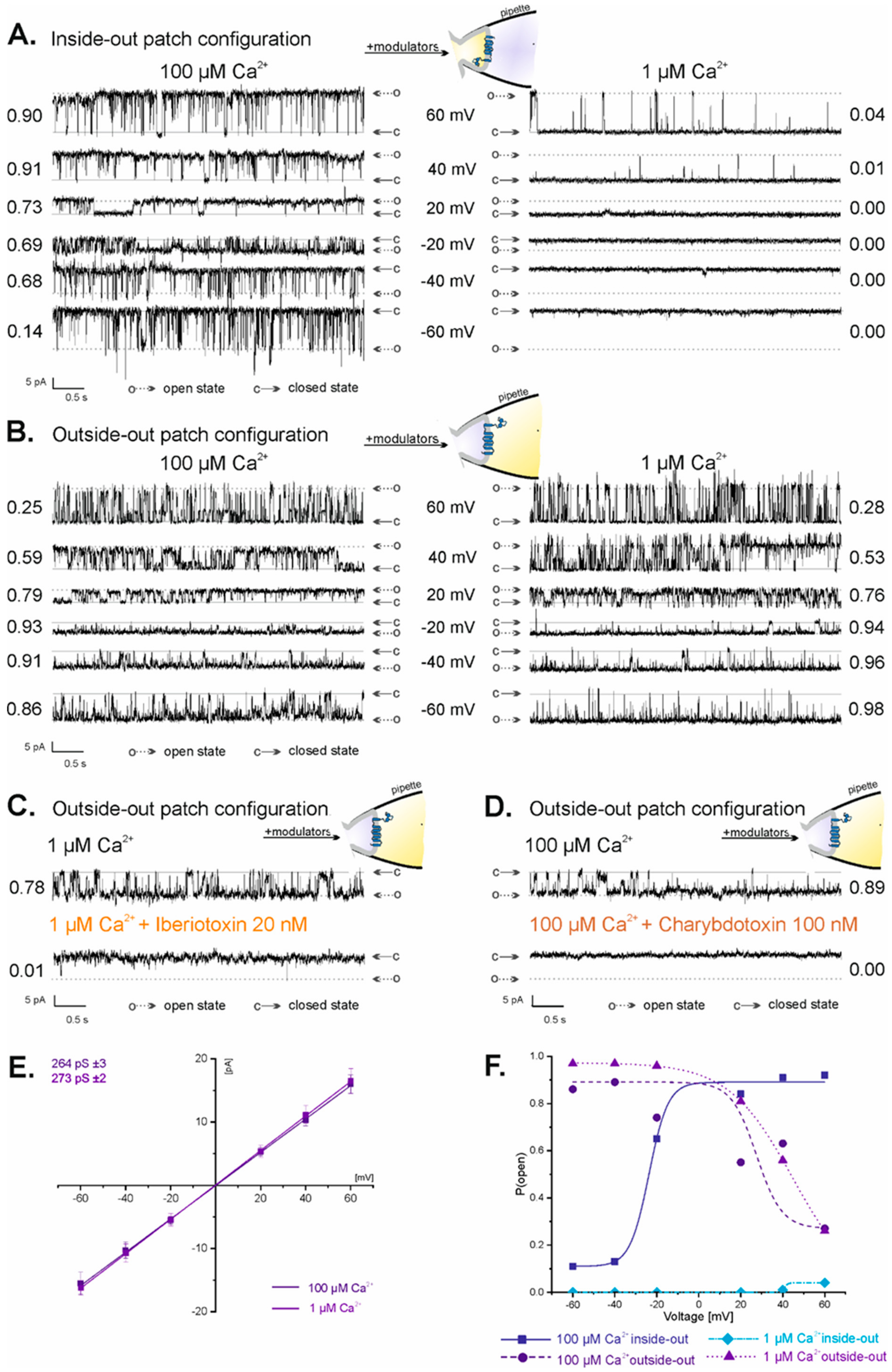 Ijms 23 13391 g002 Ijms 23 13391 g002