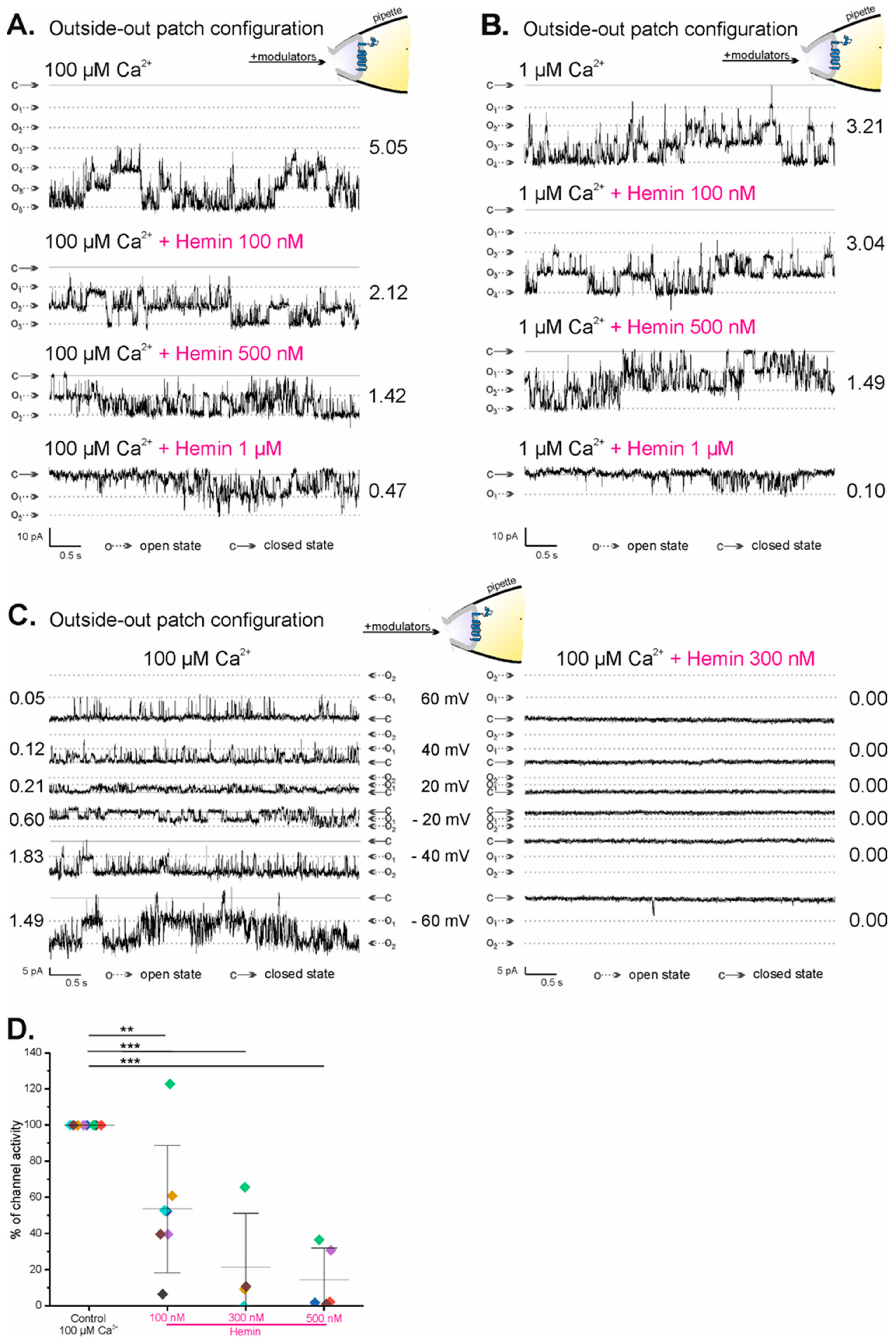 Ijms 23 13391 g003 Ijms 23 13391 g003