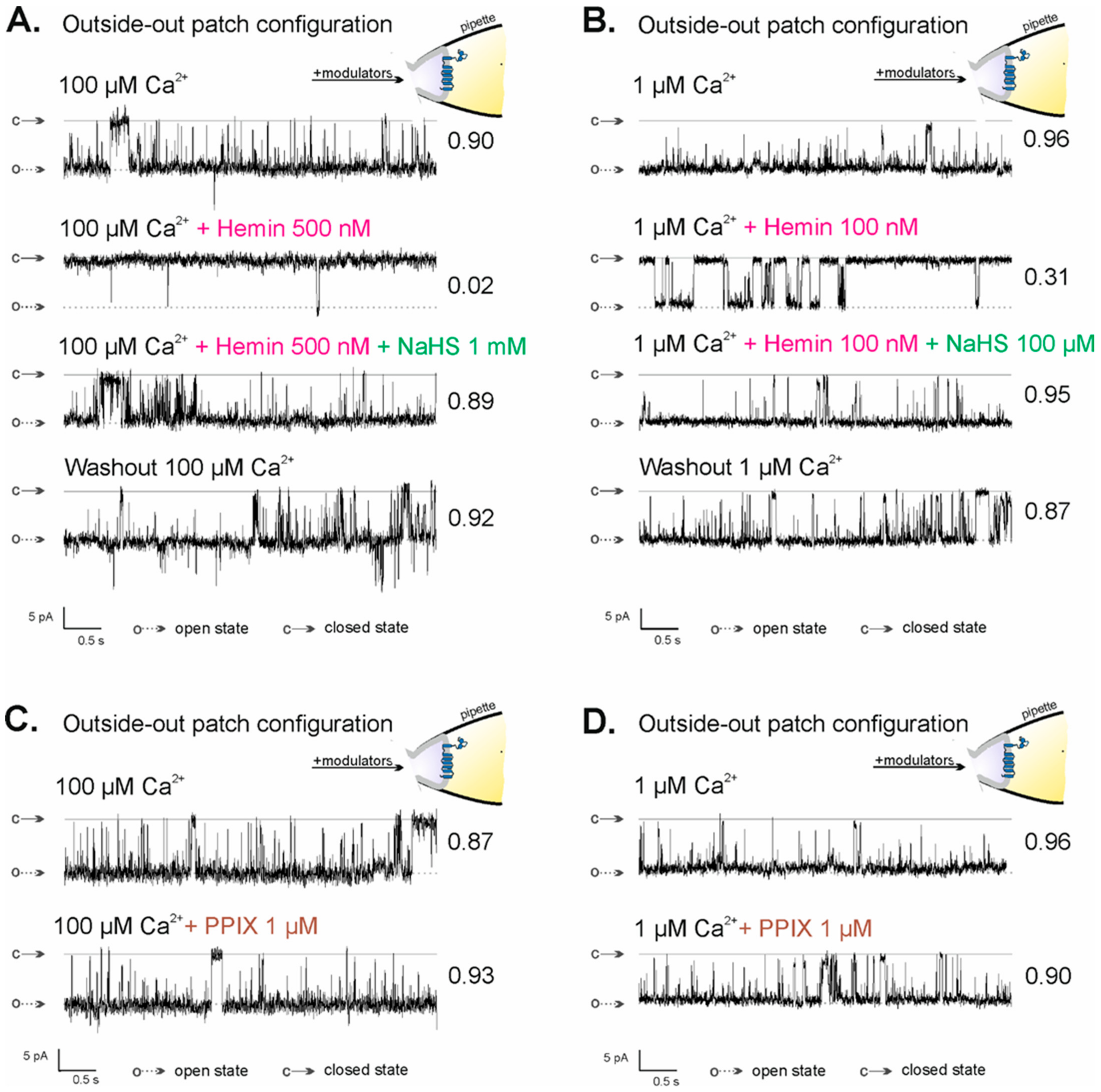 Ijms 23 13391 g004 Ijms 23 13391 g004