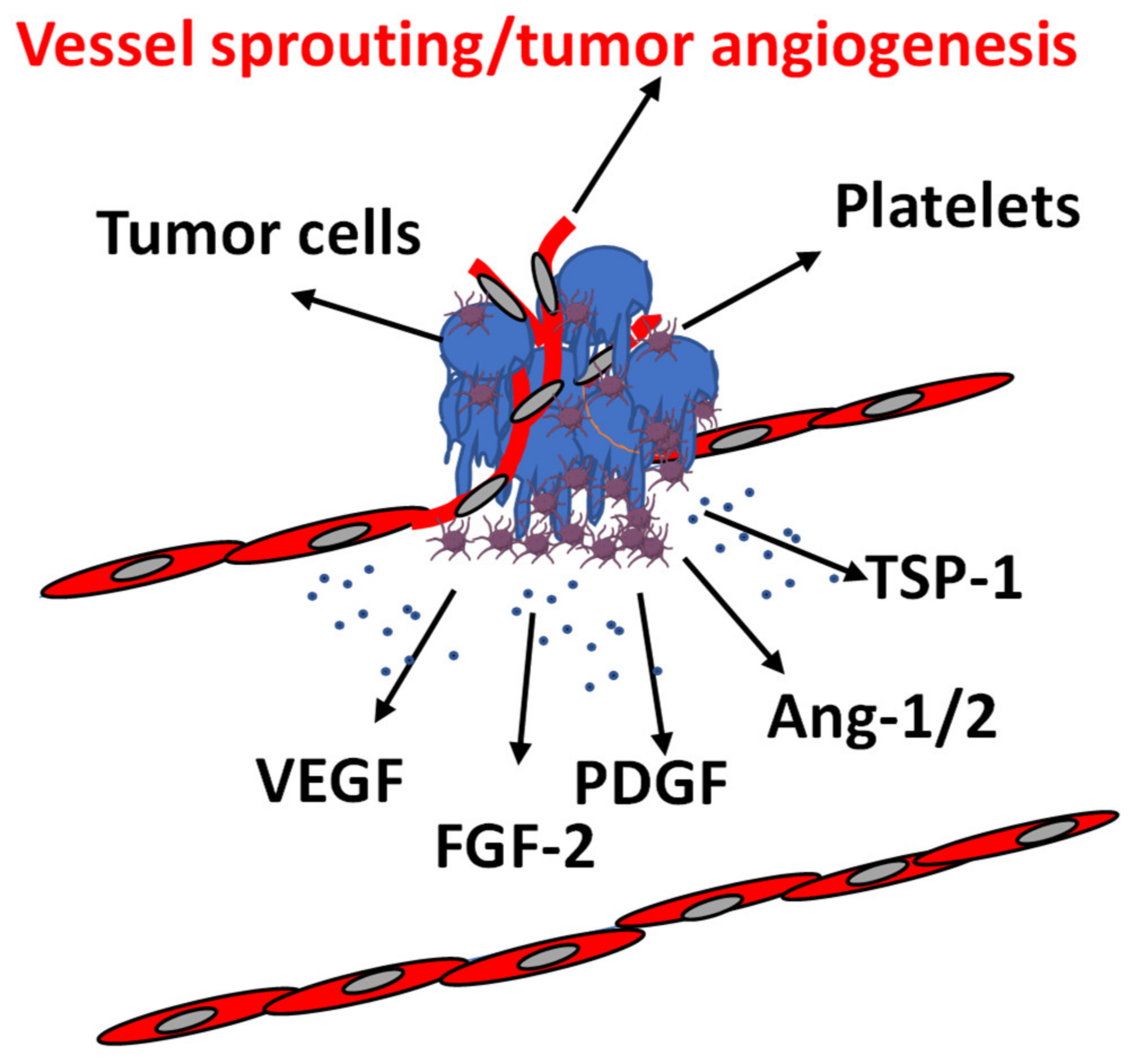 Ijms 23 13401 g003 Ijms 23 13401 g003