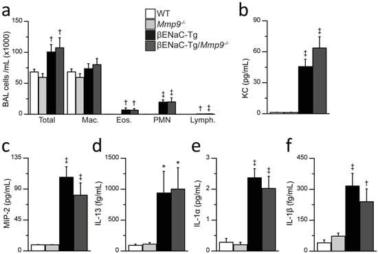 IJMS | Free Full-Text | Genetic Deletion of Mmp9 Does Not Reduce