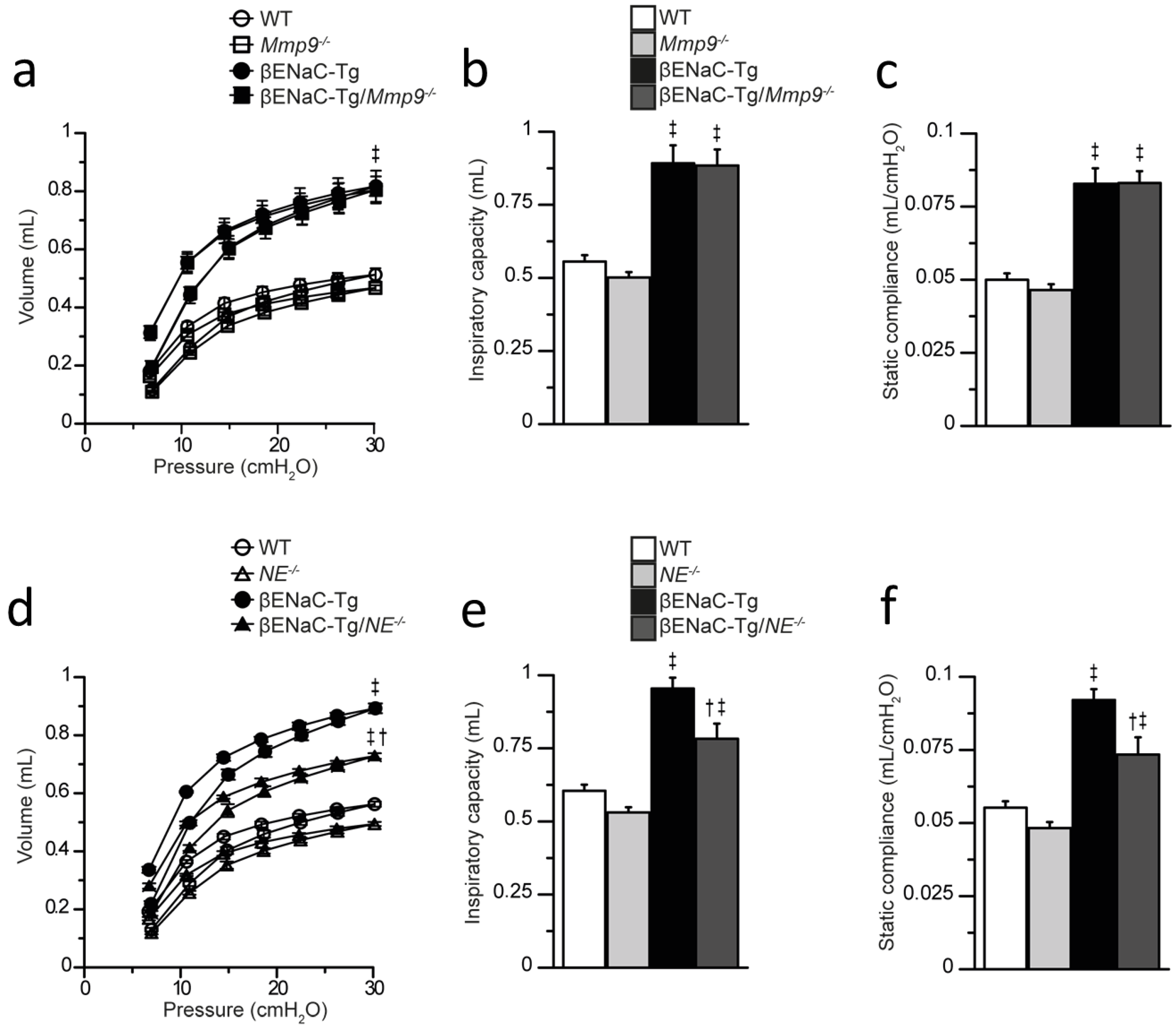 Ijms Free Full Text Genetic Deletion Of Mmp9 Does Not Reduce Airway