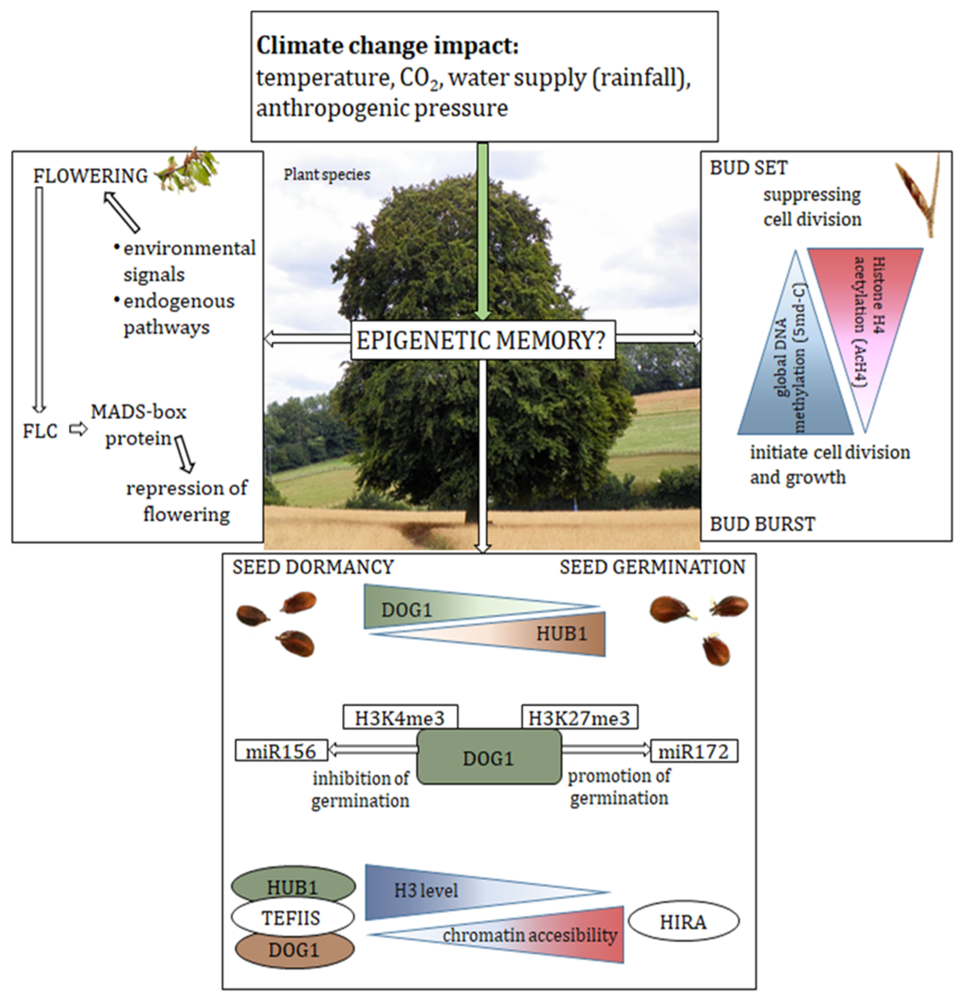 Ijms 23 13412 g002 Ijms 23 13412 g002