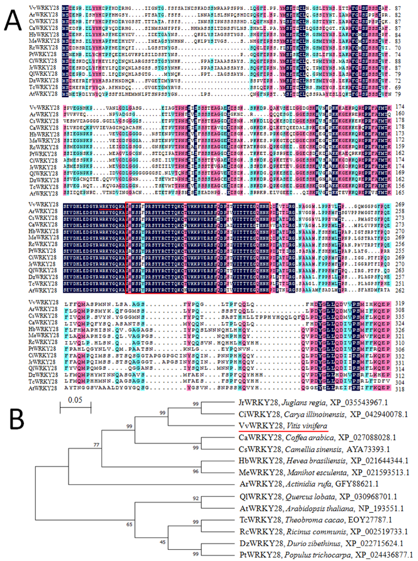 Ijms 23 13418 g001 Ijms 23 13418 g001