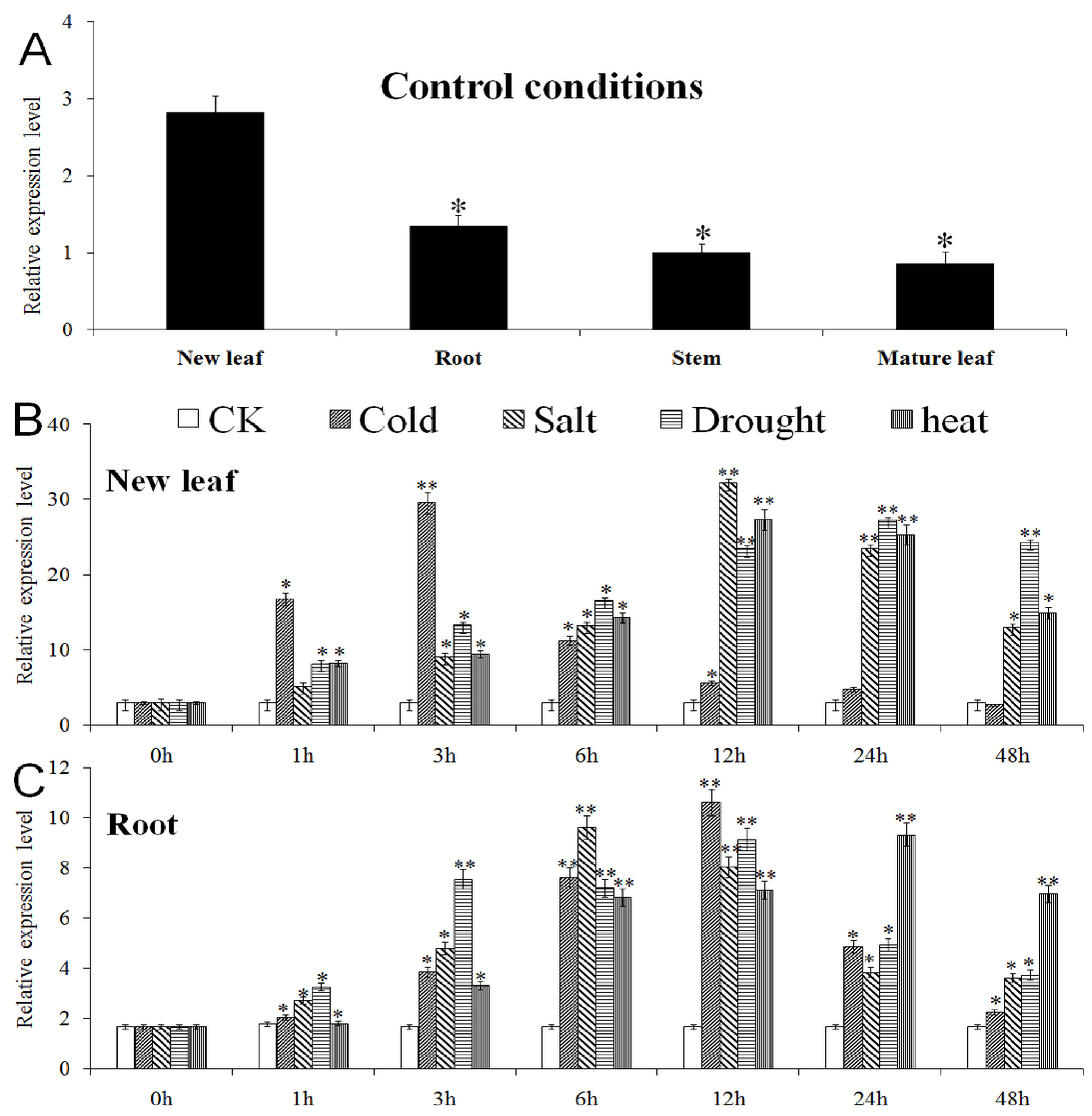 Ijms 23 13418 g003 Ijms 23 13418 g003