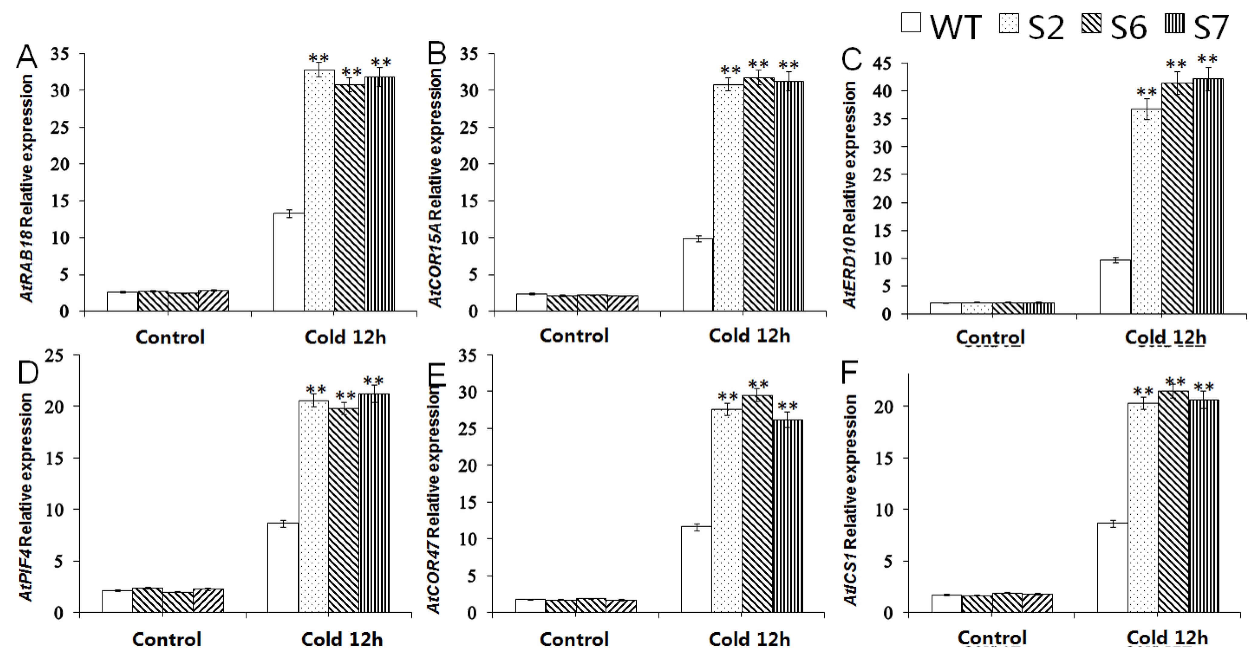 Ijms 23 13418 g006 Ijms 23 13418 g006