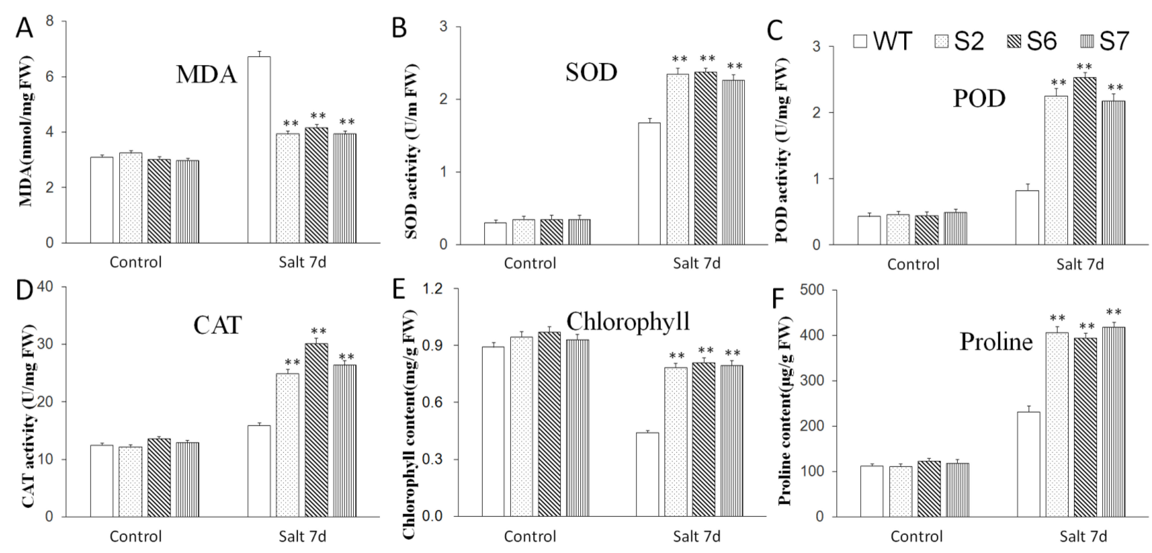 Ijms 23 13418 g008 Ijms 23 13418 g008
