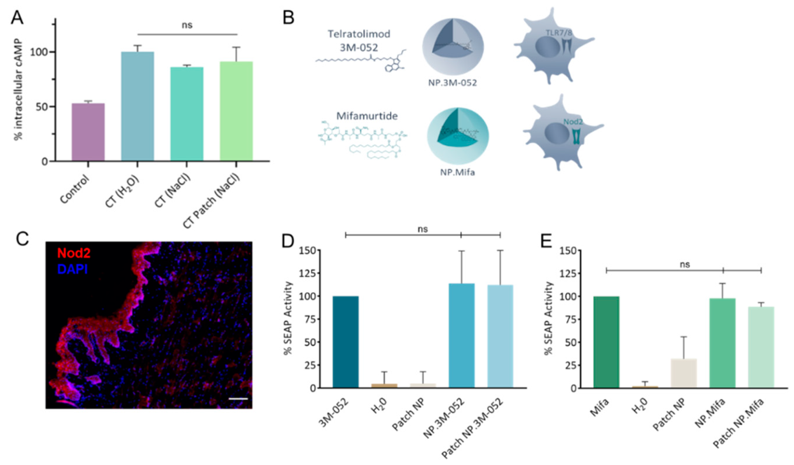 Ijms 23 13440 g004 Ijms 23 13440 g004