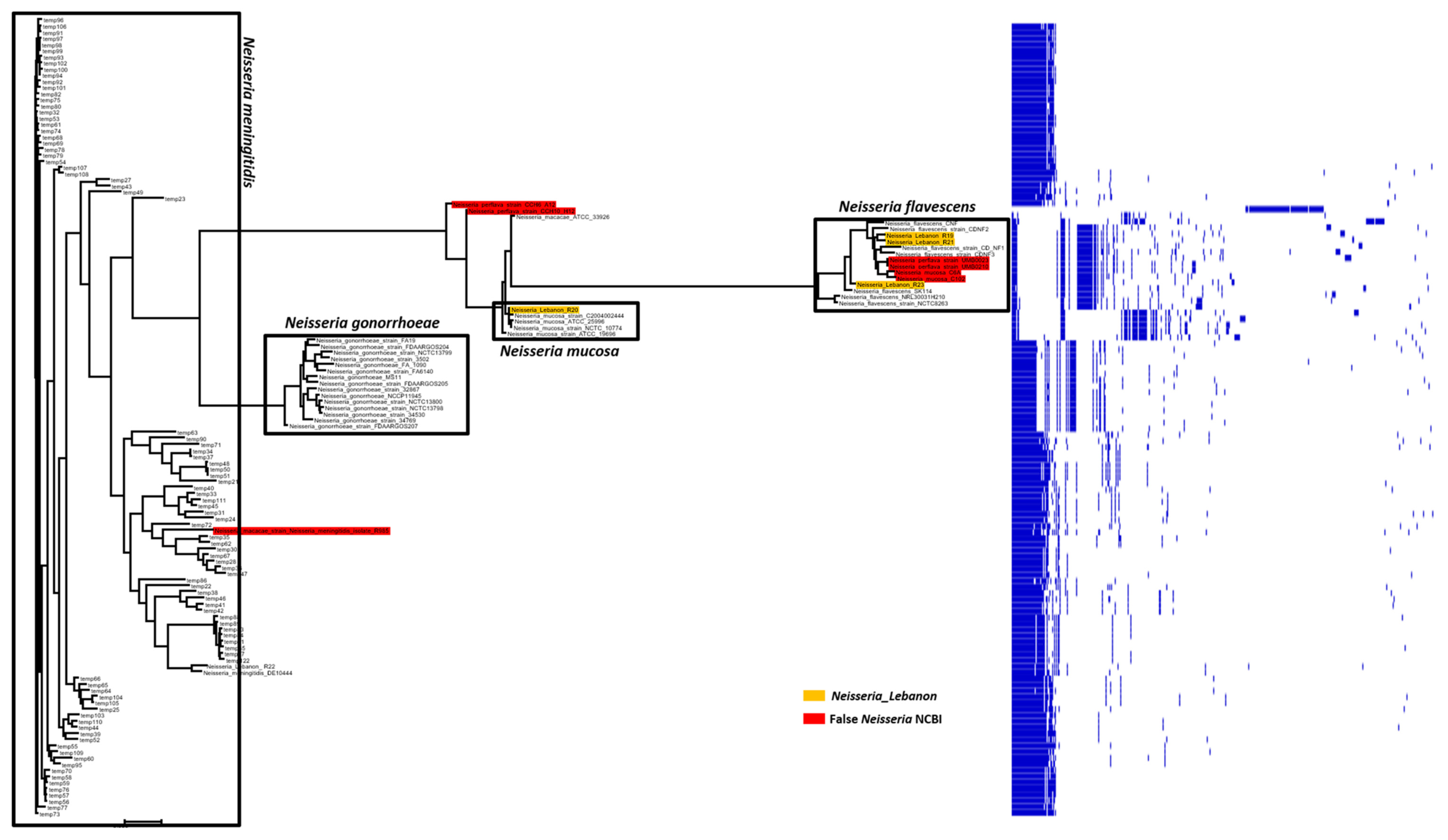 Ijms 23 13456 g003 Ijms 23 13456 g003