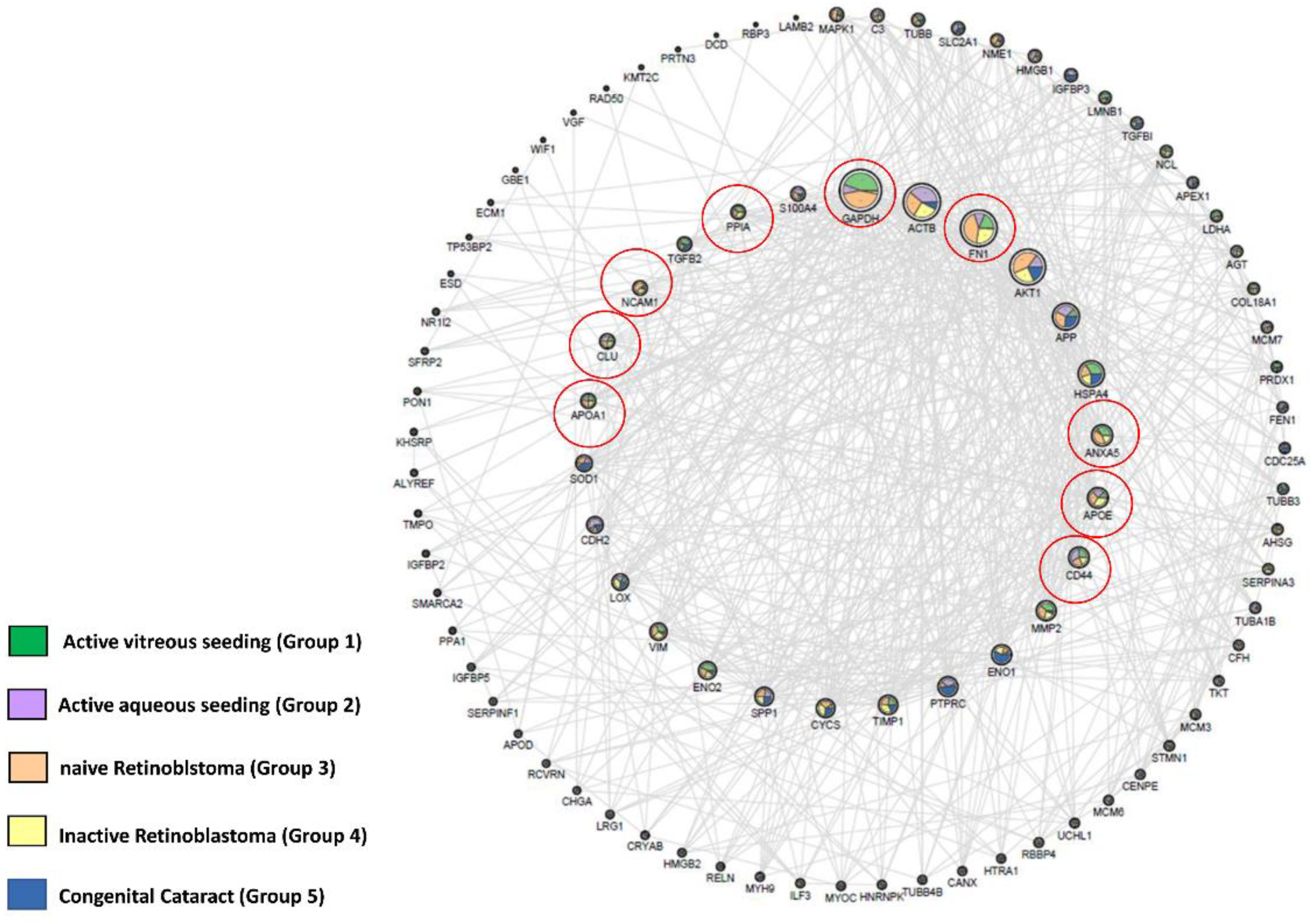 Ijms 23 13458 g003 Ijms 23 13458 g003