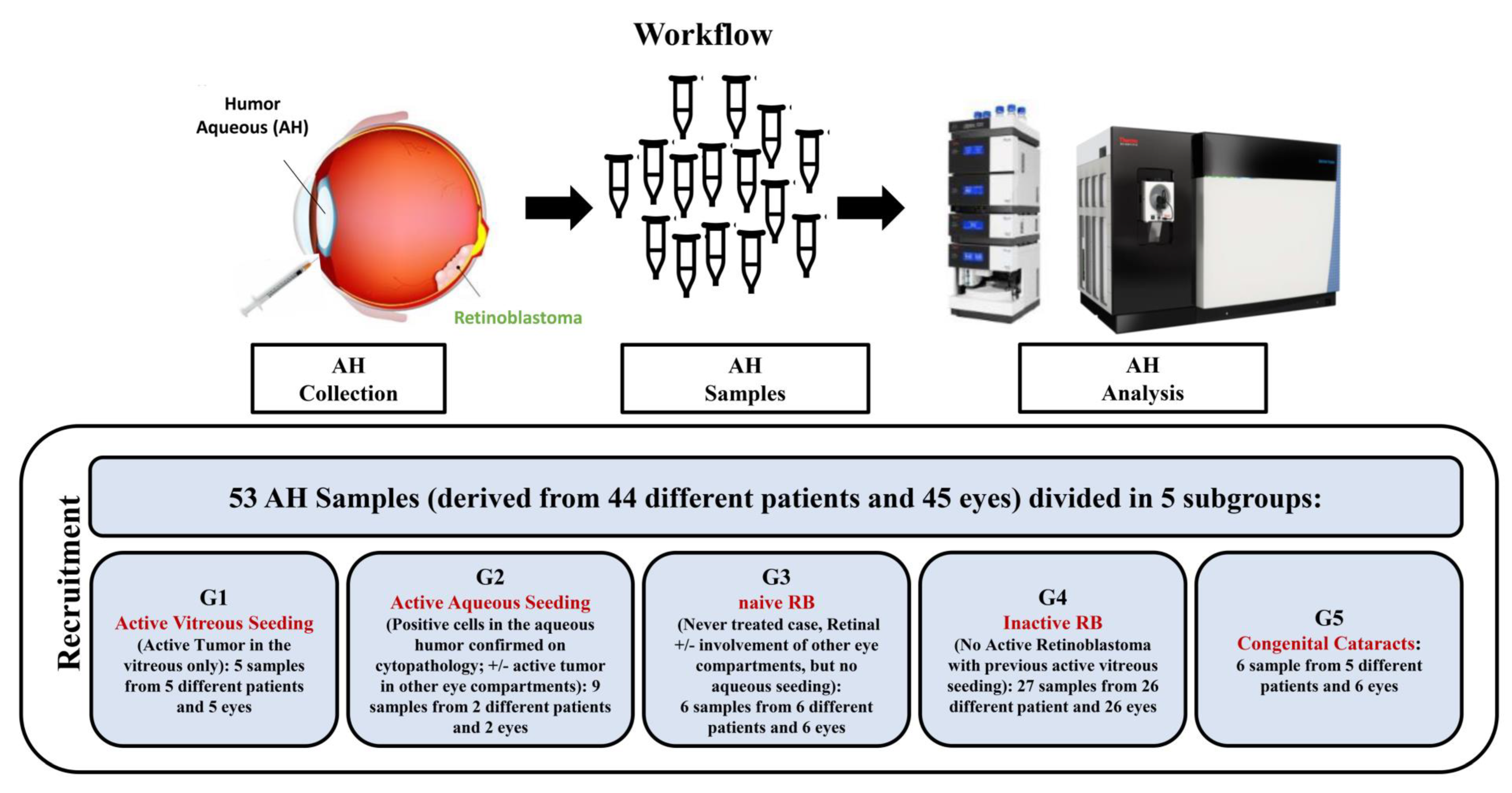 Ijms 23 13458 g004 Ijms 23 13458 g004