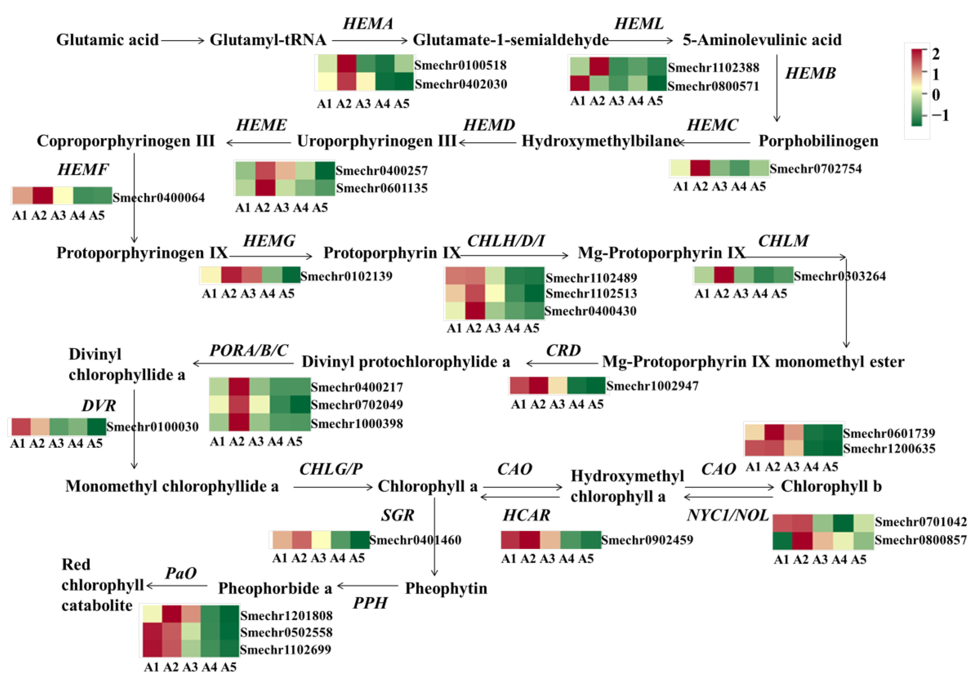 Ijms 23 13475 g007 Ijms 23 13475 g007