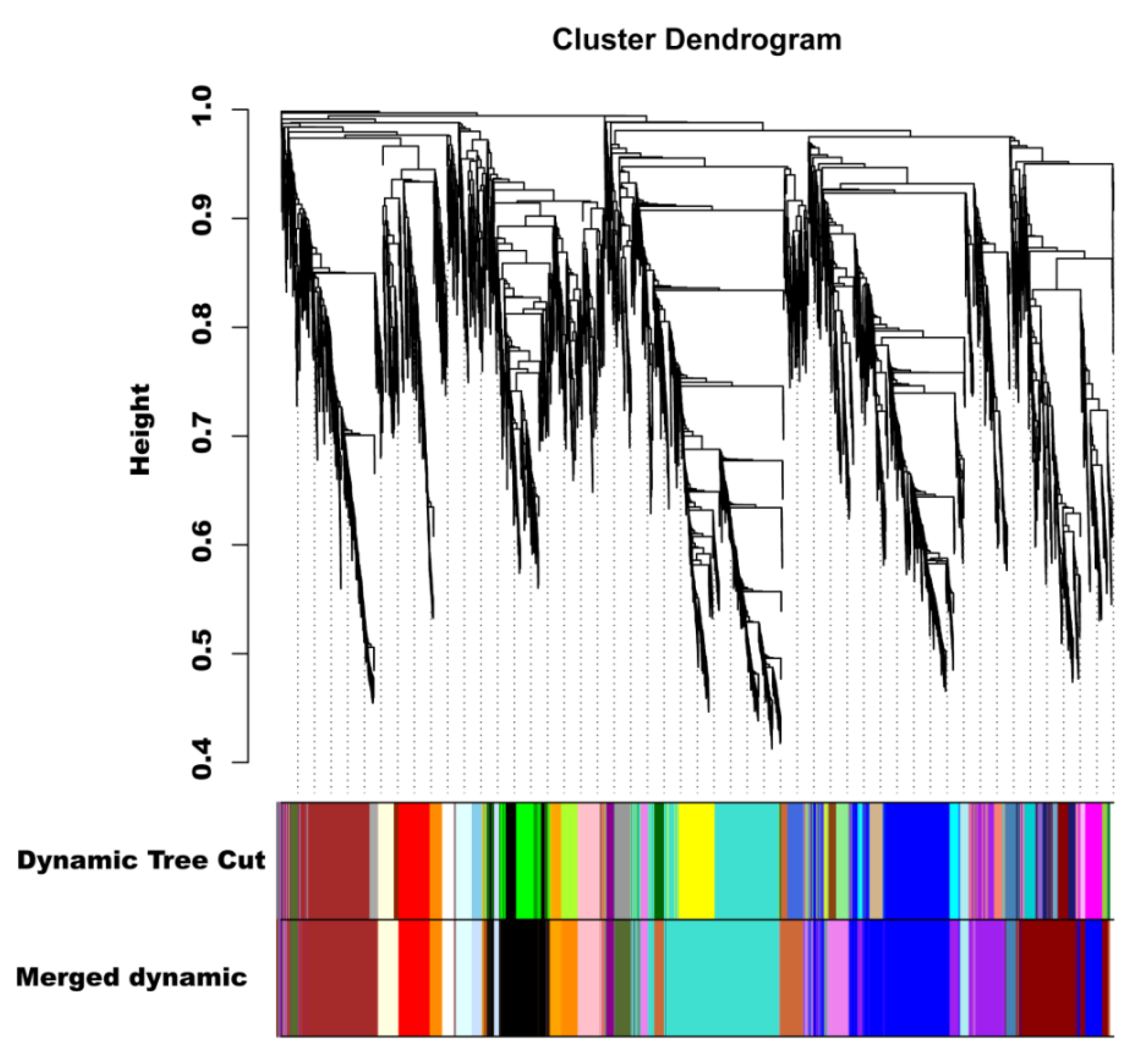 Ijms 23 13475 g008 Ijms 23 13475 g008