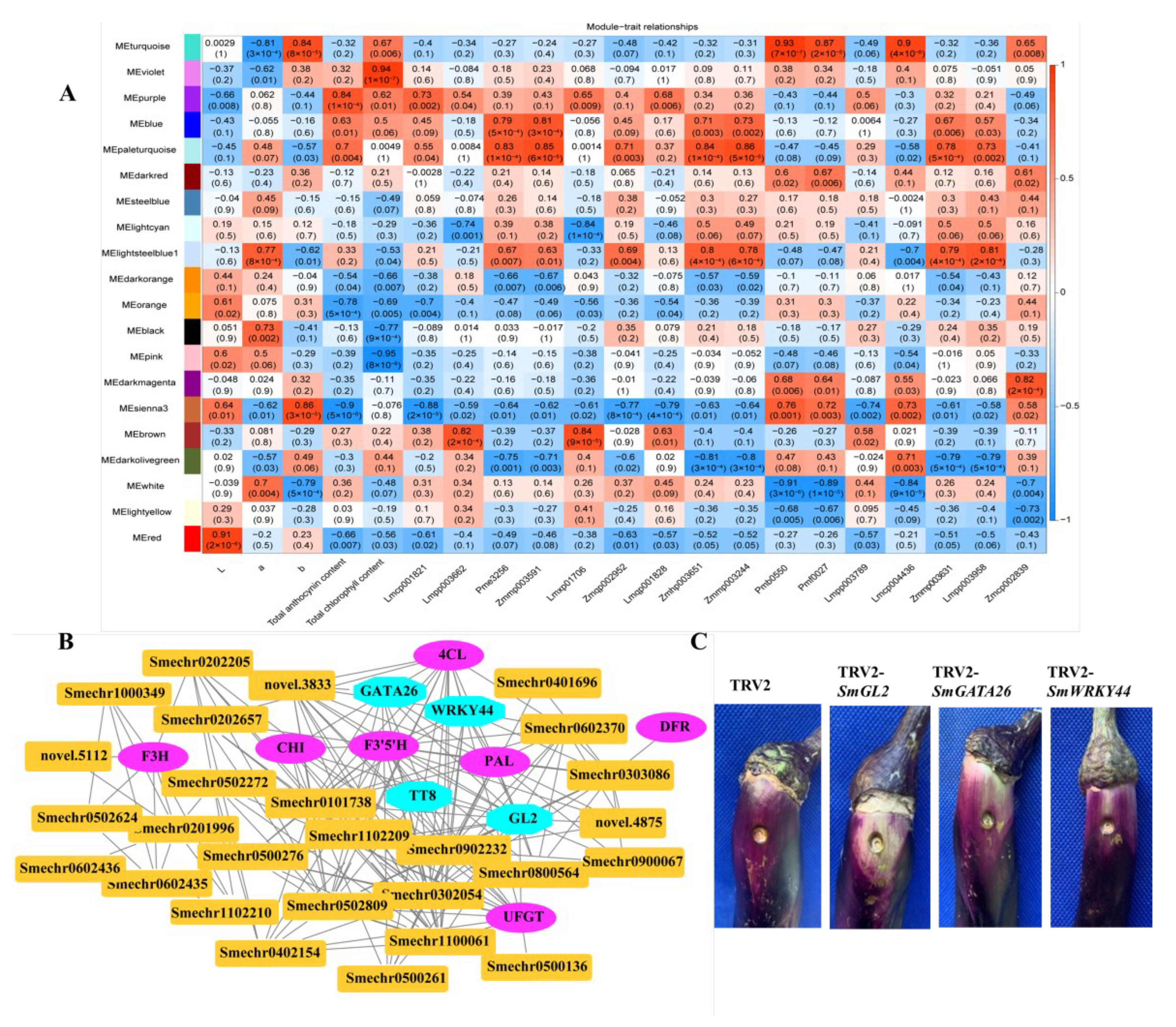 Ijms 23 13475 g009 Ijms 23 13475 g009