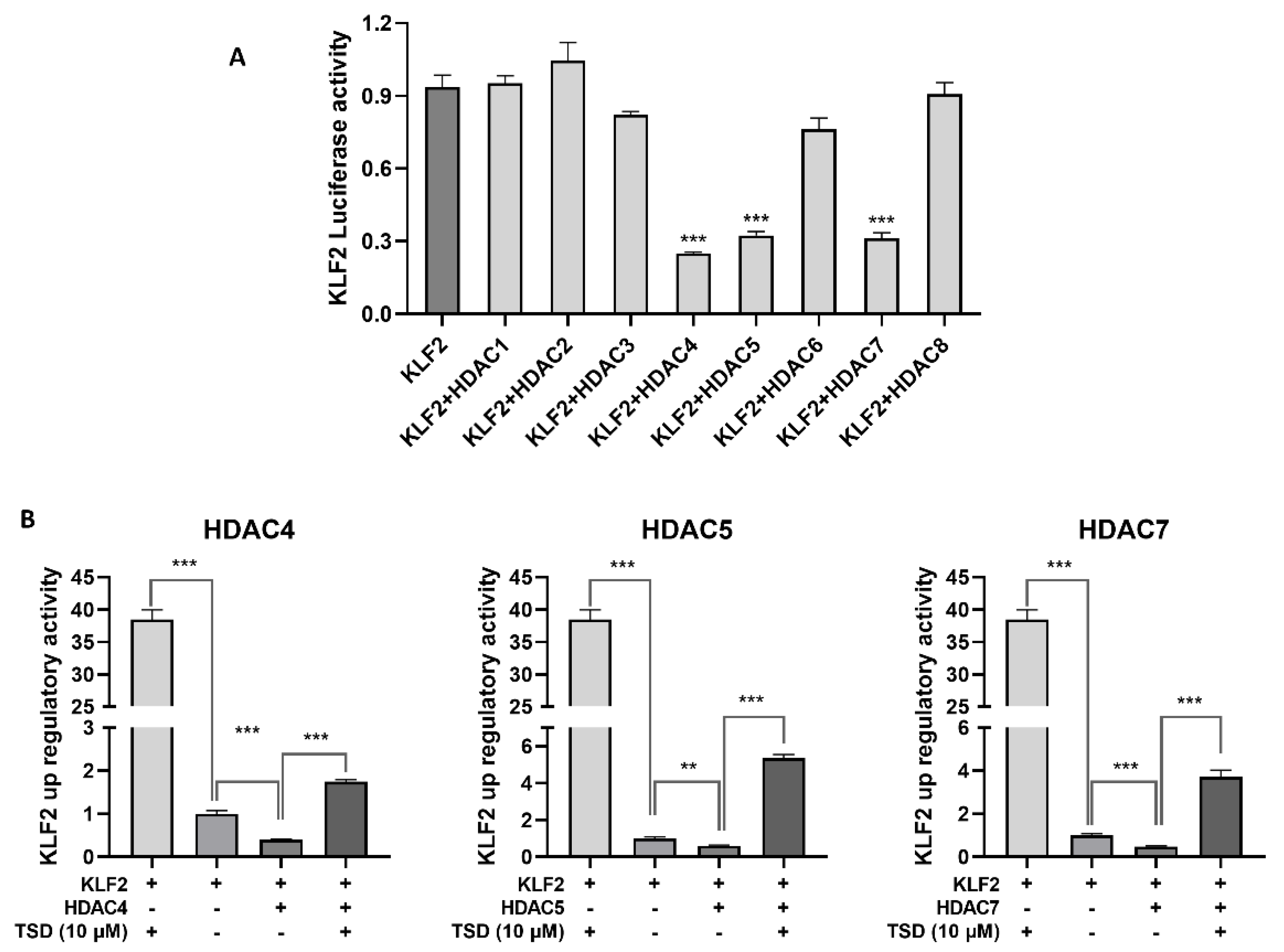 Ijms 23 13477 g005 Ijms 23 13477 g005