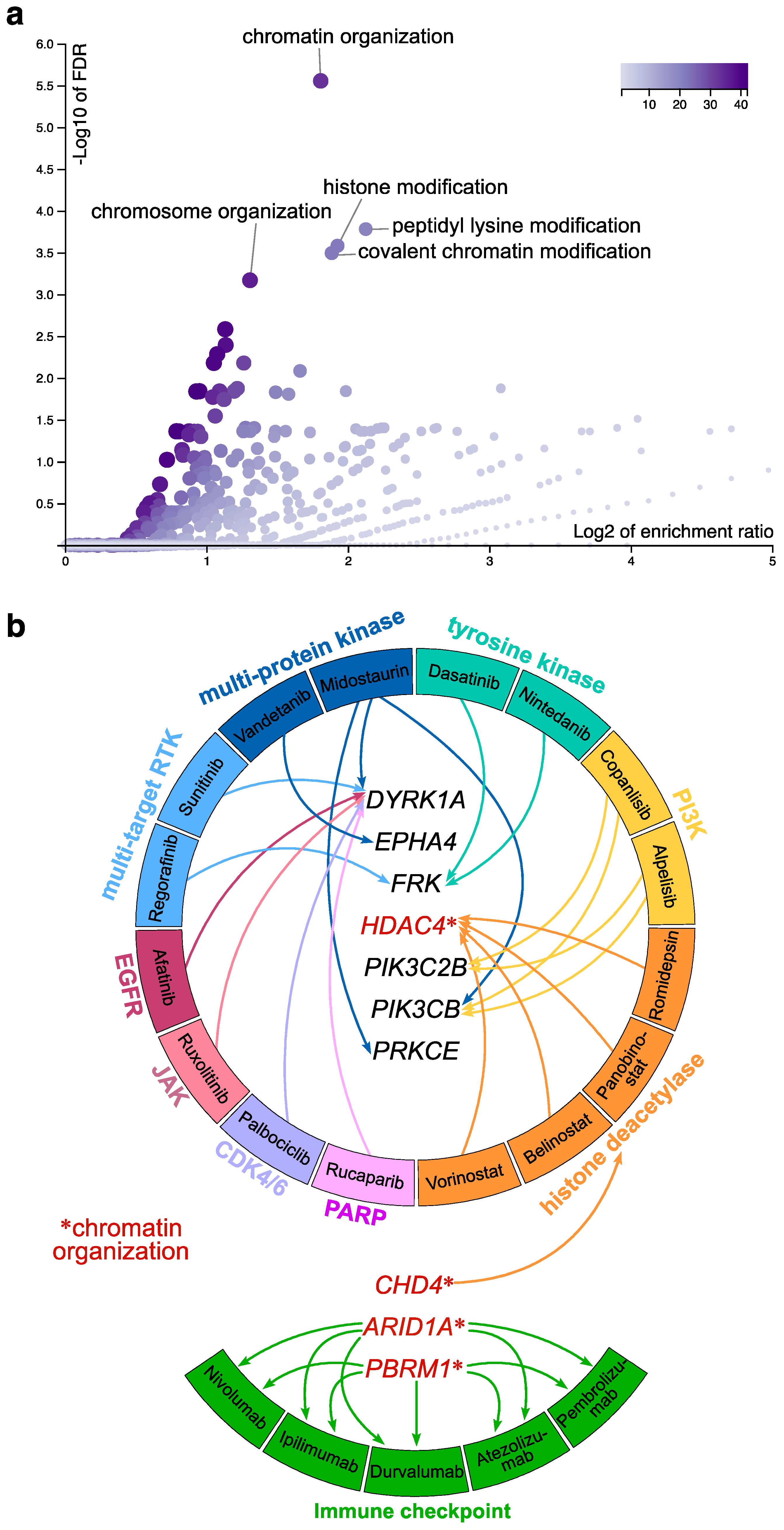 Ijms 23 13497 g002 Ijms 23 13497 g002