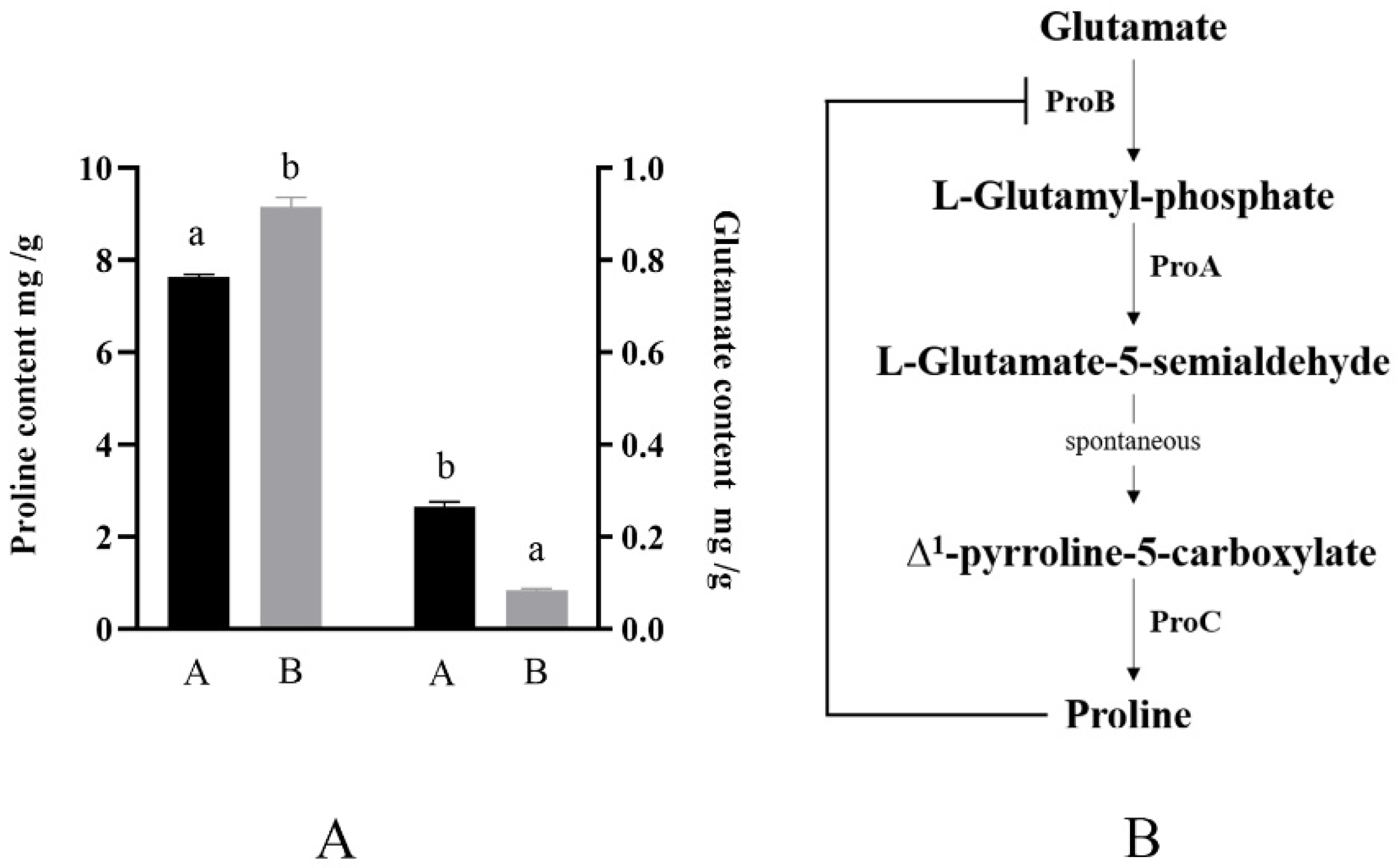 Ijms 23 13500 g004 Ijms 23 13500 g004