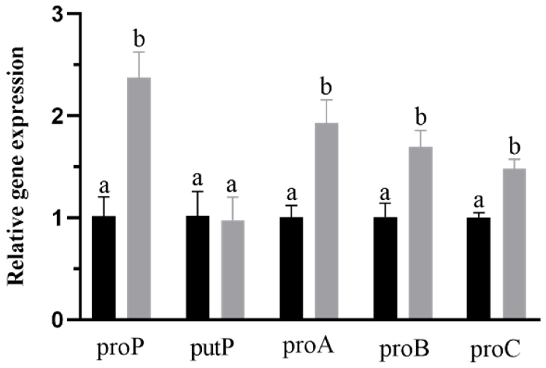 Ijms 23 13500 g005 Ijms 23 13500 g005