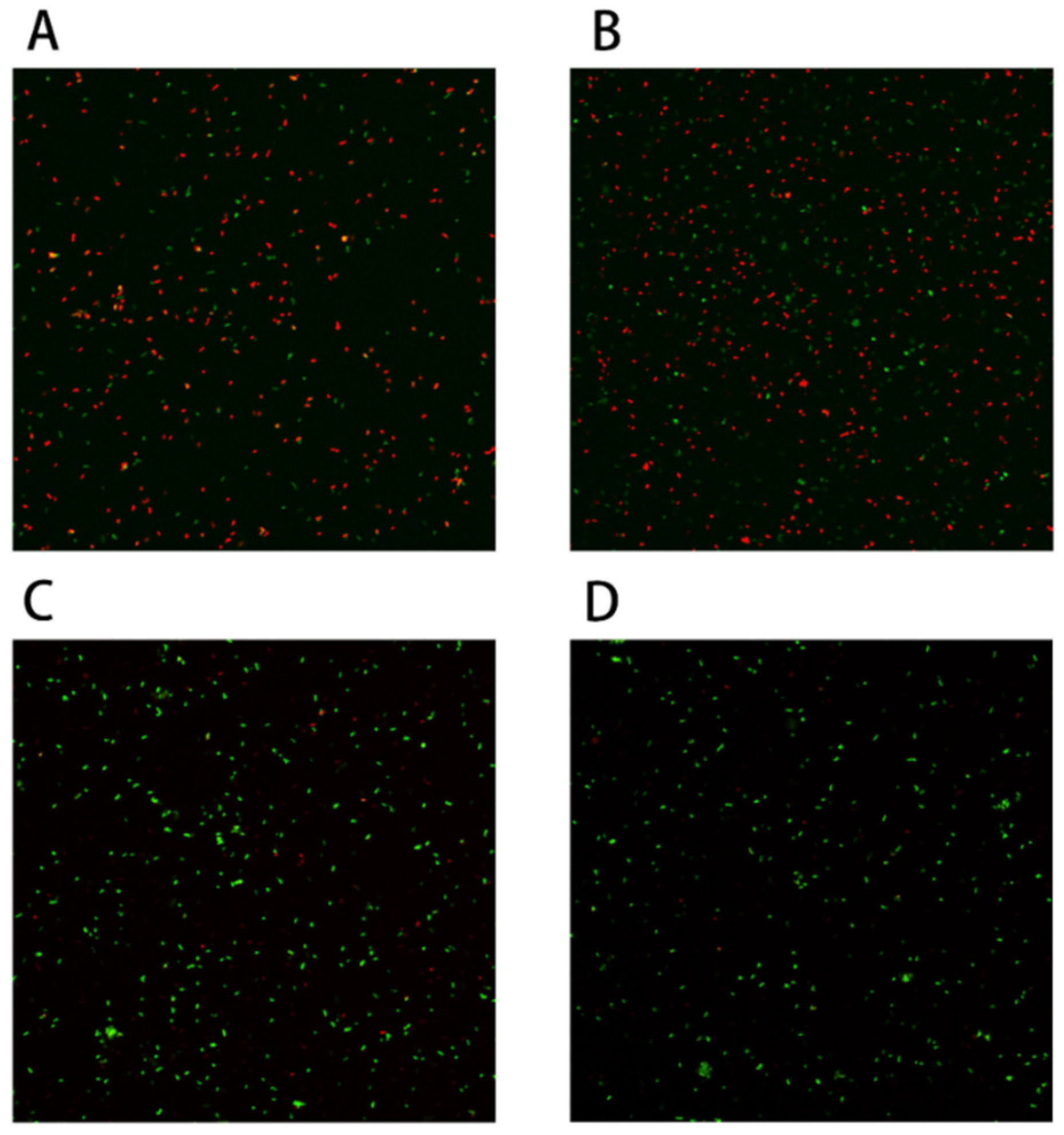 Ijms 23 13500 g006 Ijms 23 13500 g006